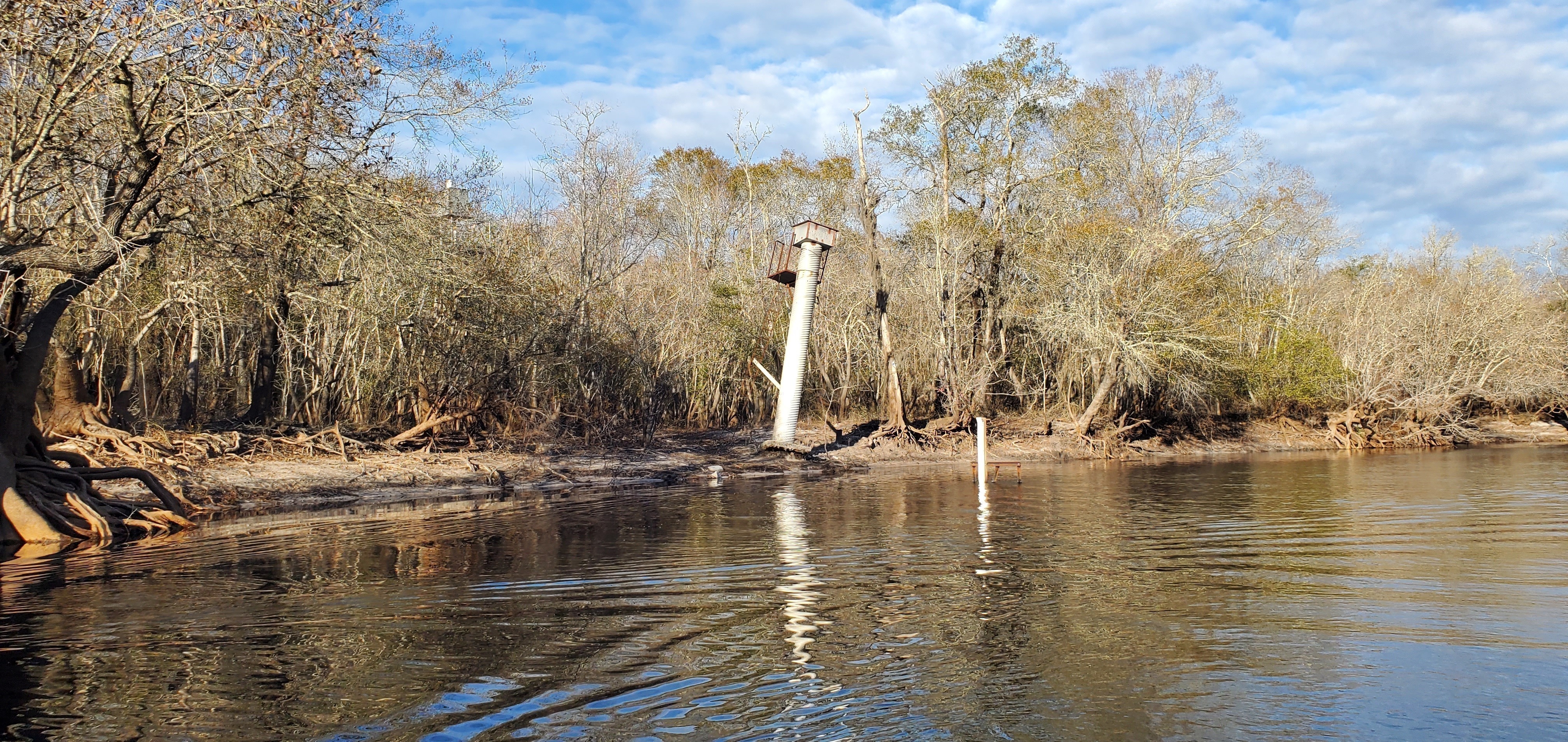 Suwannee River Above Fargo Gauge from downstream, 15:57:42, 30.7073828, -82.5390746