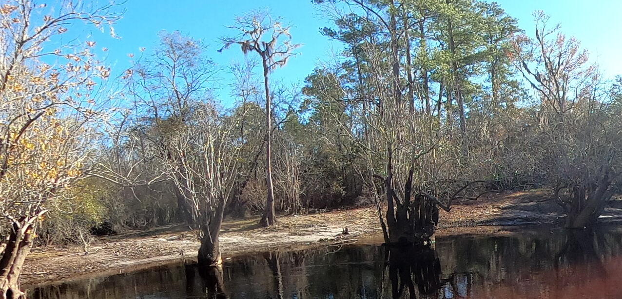 Allen Camp Landing, 2022:12:29 10:15:27, 30.7701320, -82.4718257