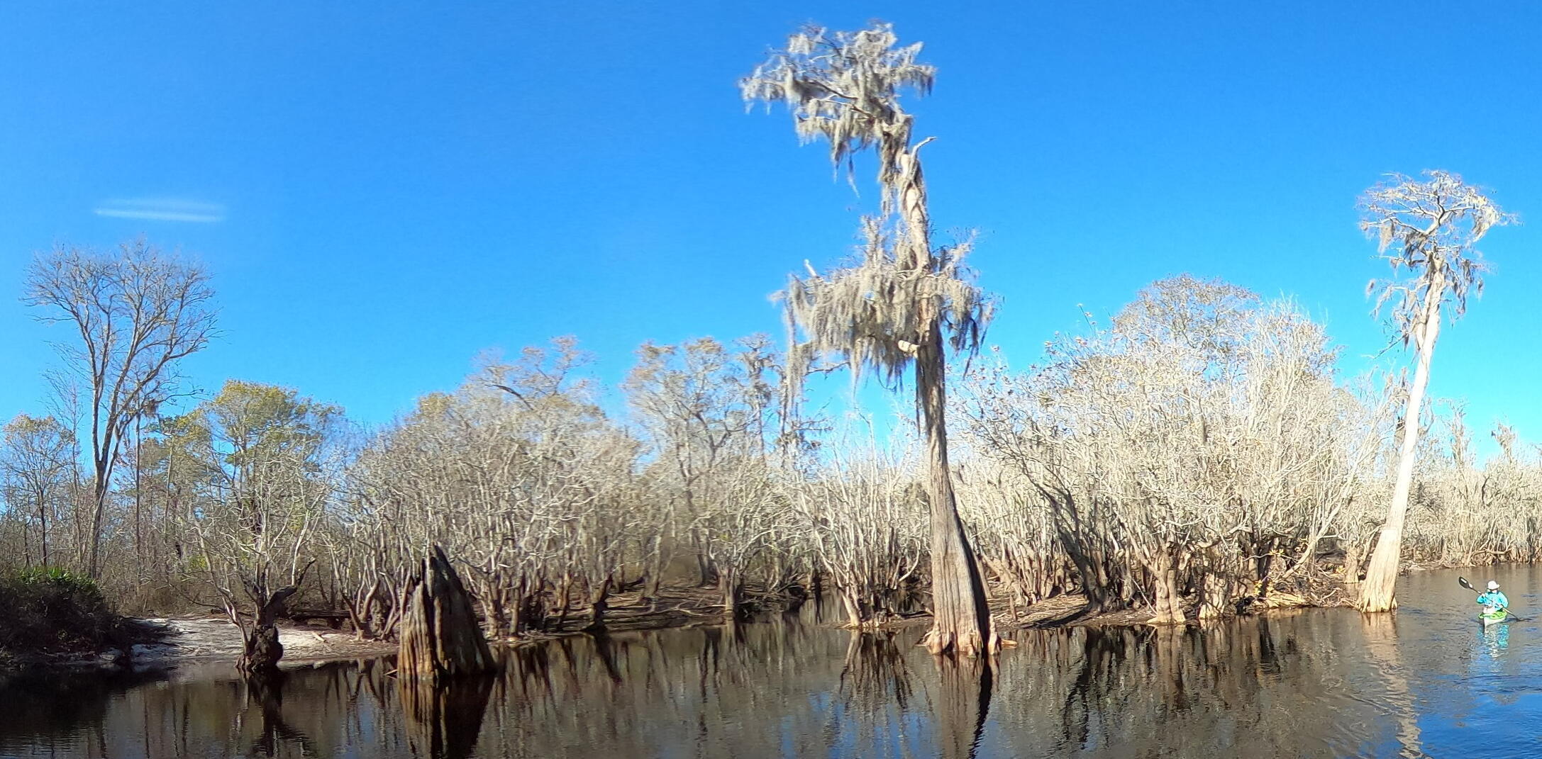 Alligator Creek, 11:11:03, 30.7567091, -82.4899273