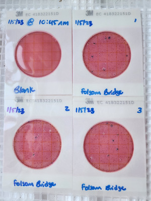 [Plates, Folsom Bridge Landing 2023-01-05]