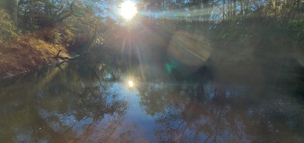 Downstream, Staten Road, Withlacoochee River, 2023:01:06 16:14:28, 30.9277658, -83.2934676