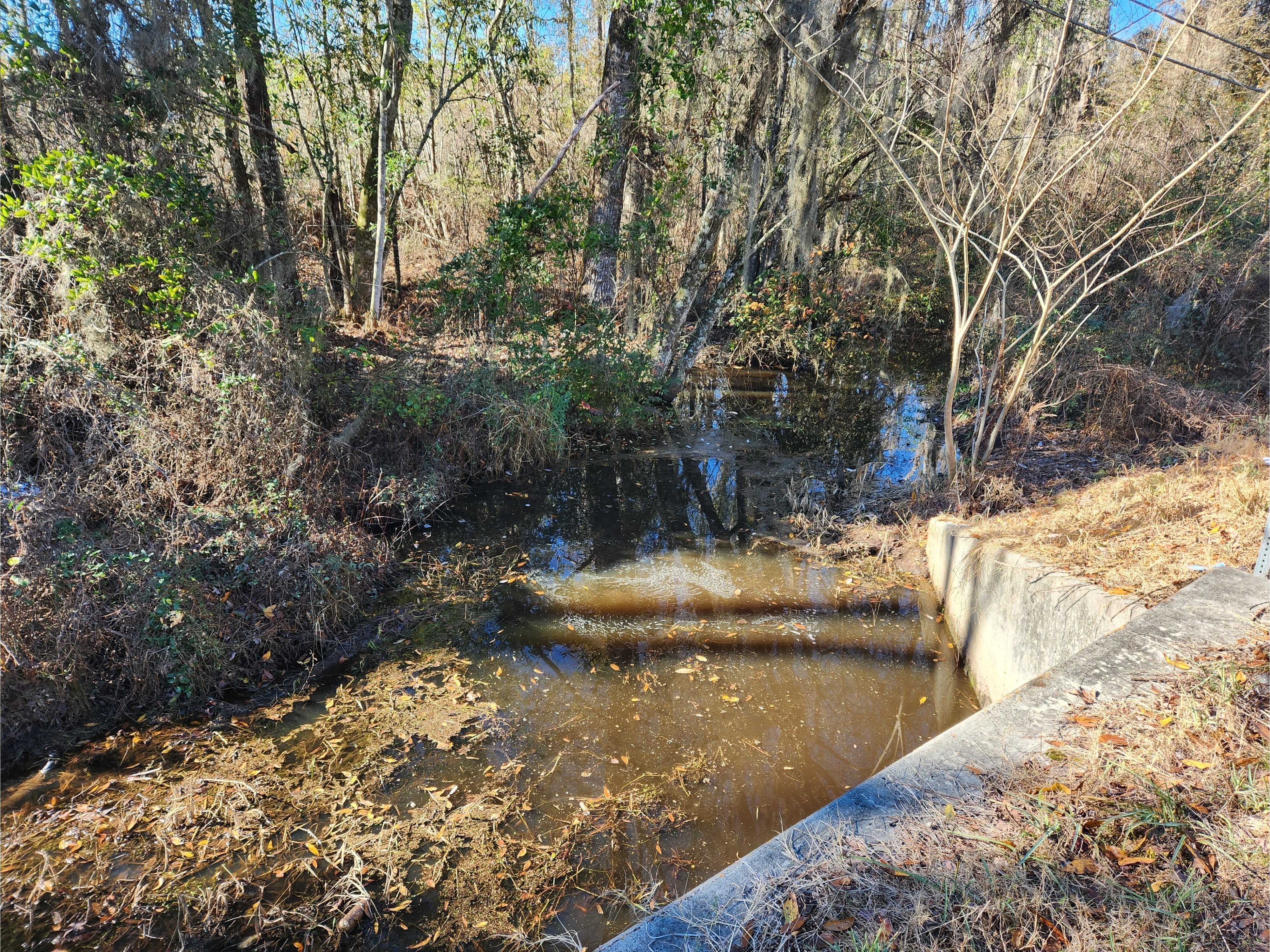 Beaverdam Creek @ Main Street, Beaverdam Creek @ Main Street 2023-01-06