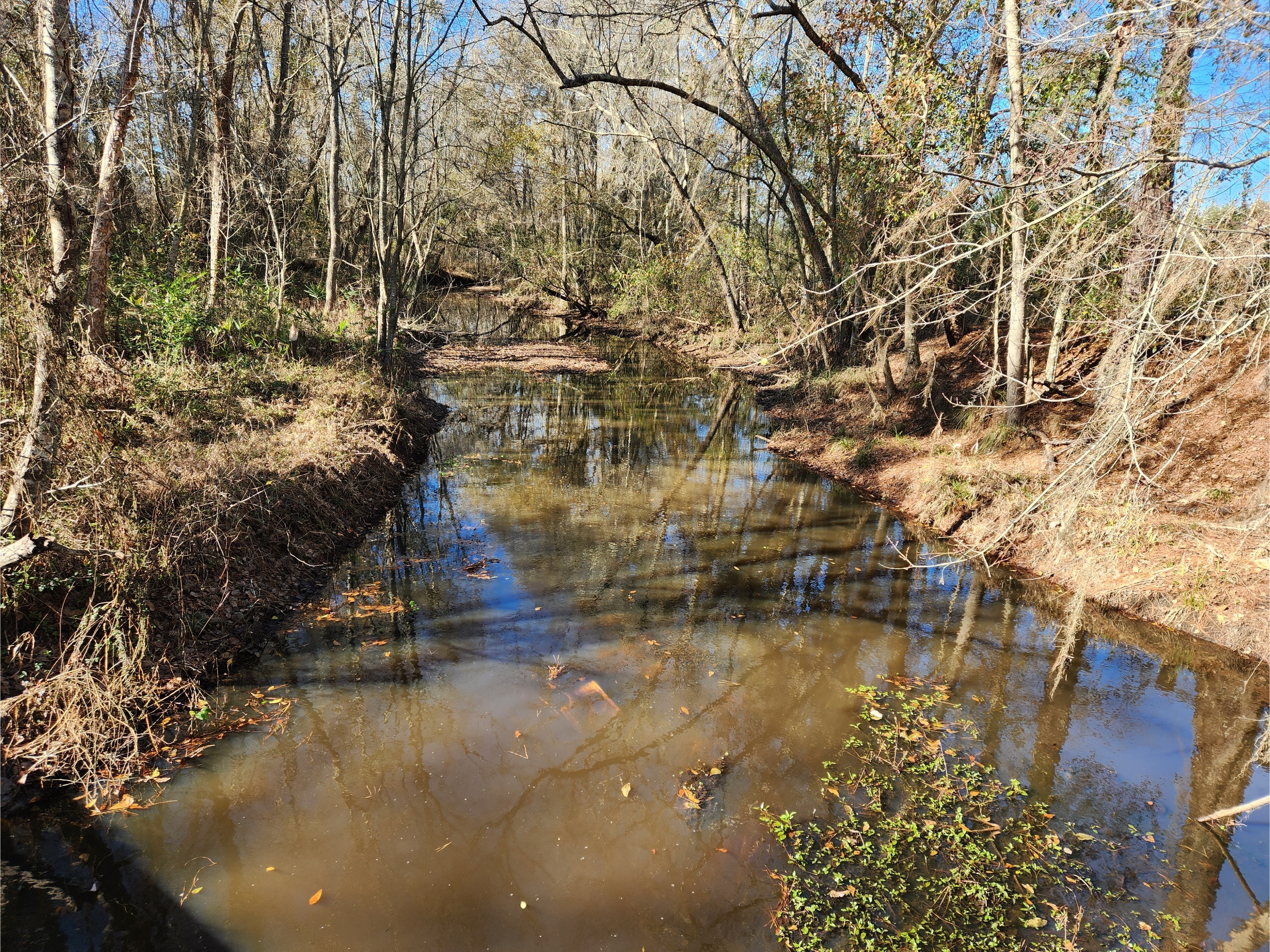 Beaverdam Creek @ Park Street, Beaverdam Creek @ Park Street 2023-01-06