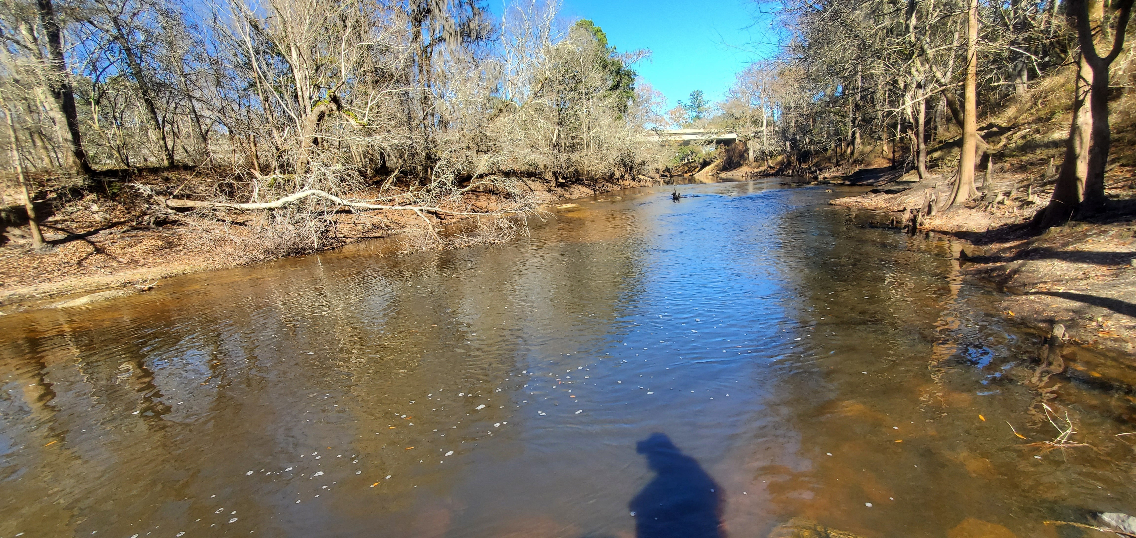 Upstream, Troupville Boat Ramp, Little River, 2023:01:06 14:03:14, 30.8515292, -83.3476617