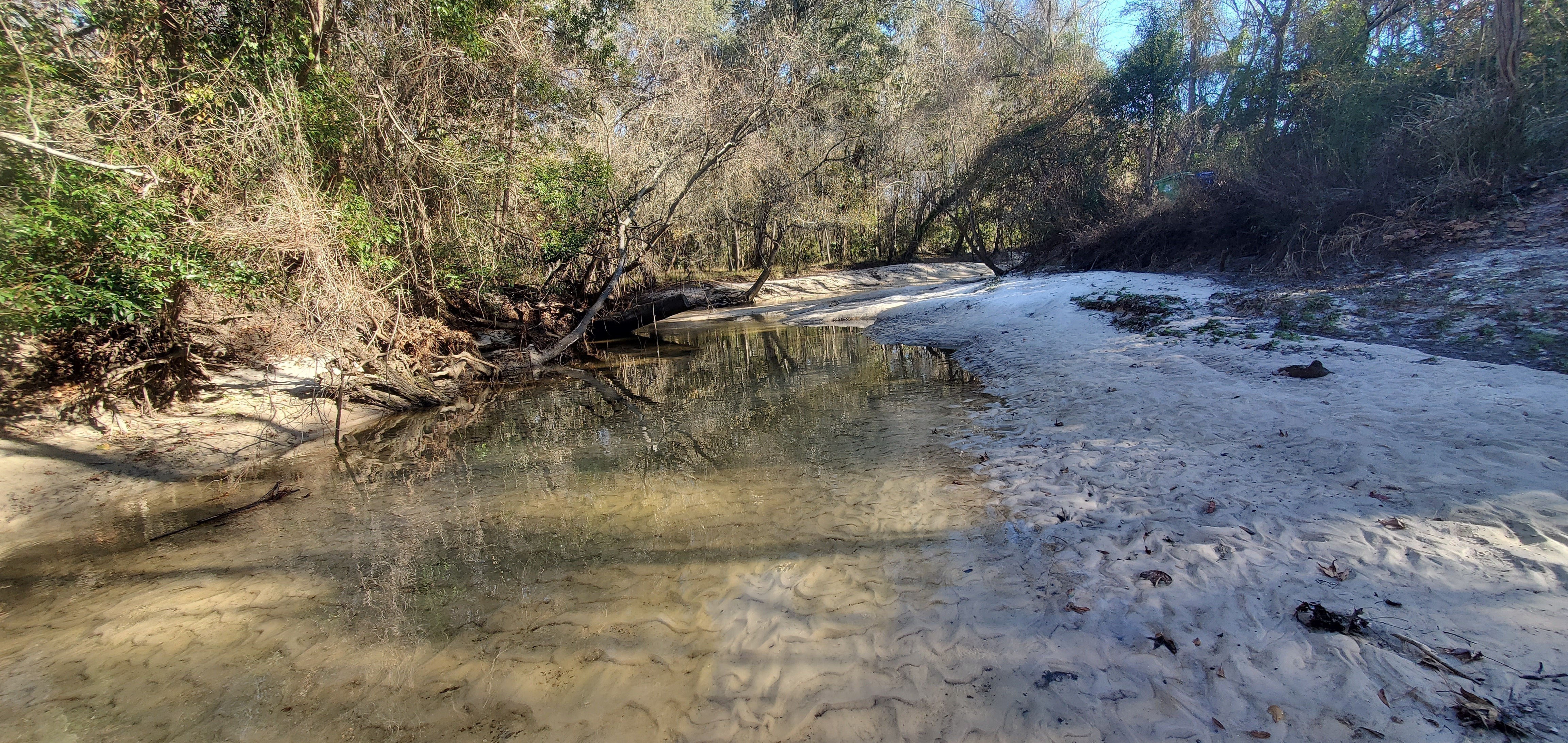 Upstream past Two Mile Branch, Sugar Creek, Salty Corner Landing, 2023:01:06 14:58:11, 30.8626012, -83.3187873