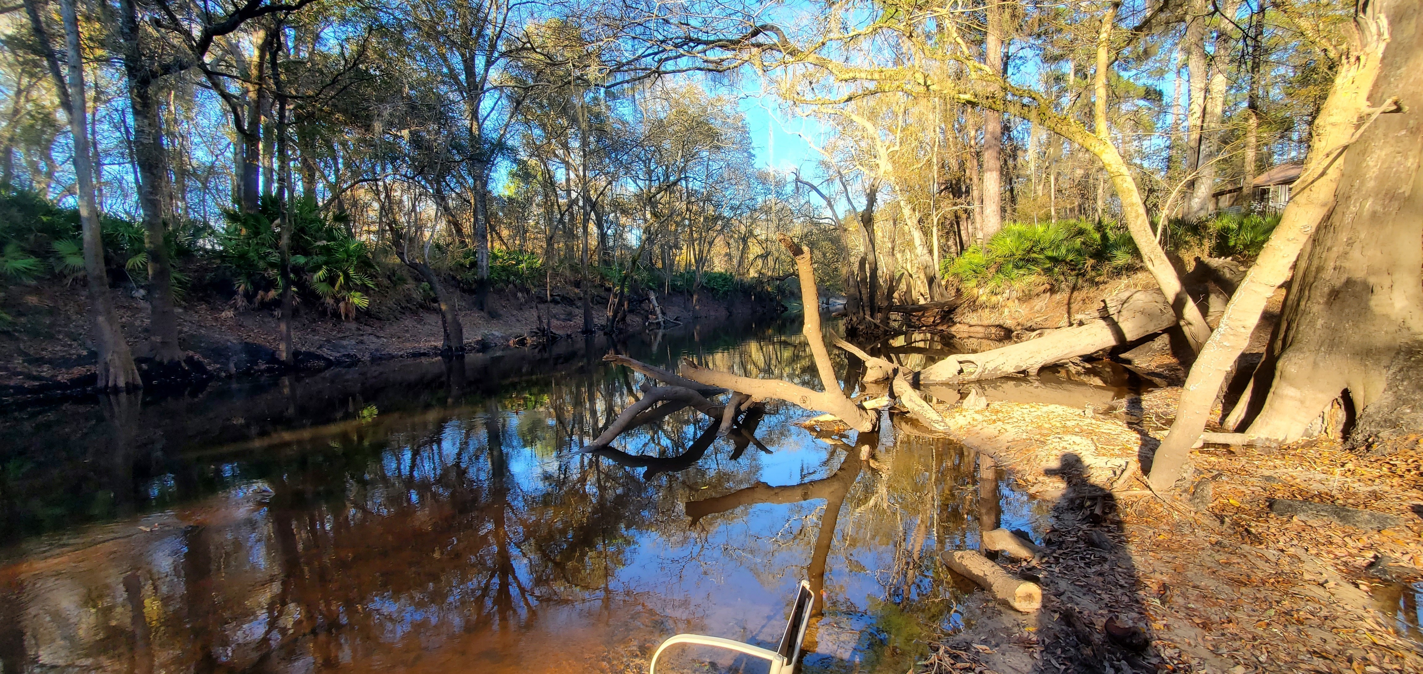 Staten Road, Withlacoochee River, 2023:01:06 16:14:34, 30.9277658, -83.2934676