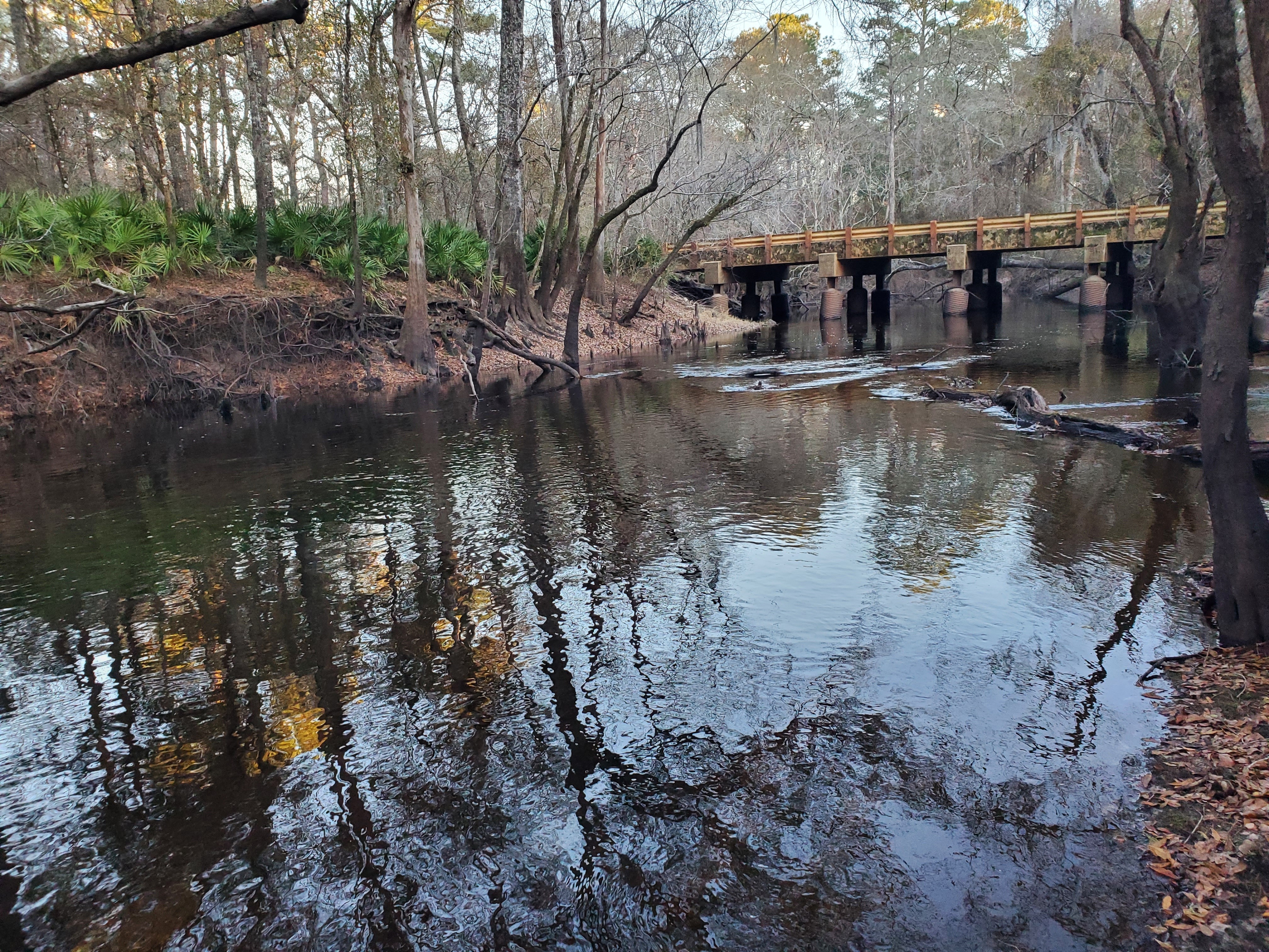 Context, Tyler Bridge, Franklinville, Withlacoochee River, 2023:01:06 17:13:42, 30.9815836, -83.2679495