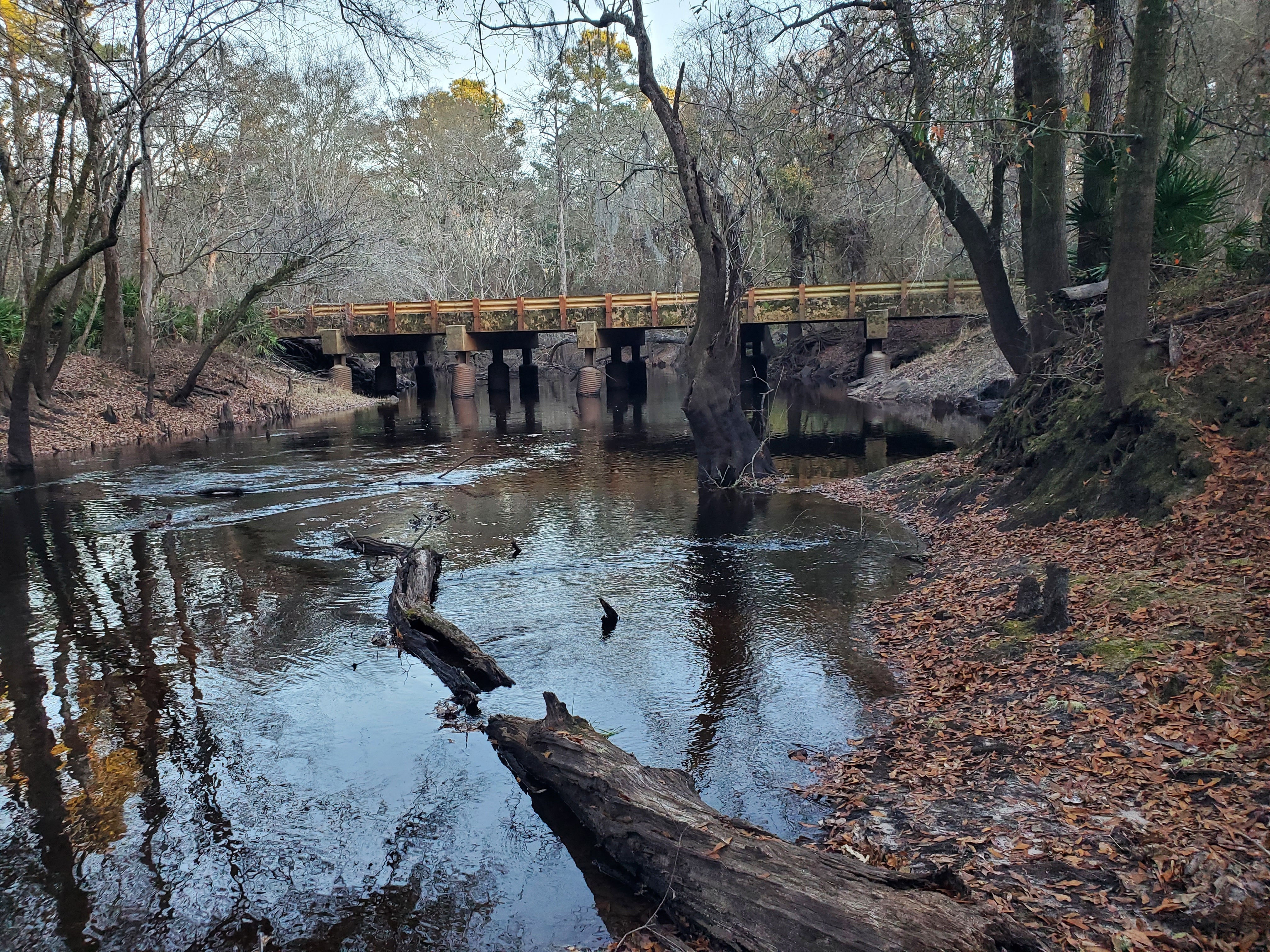 Closer context, Tyler Bridge, Franklinville, Withlacoochee River, 2023:01:06 17:14:05, 30.9815836, -83.2679495