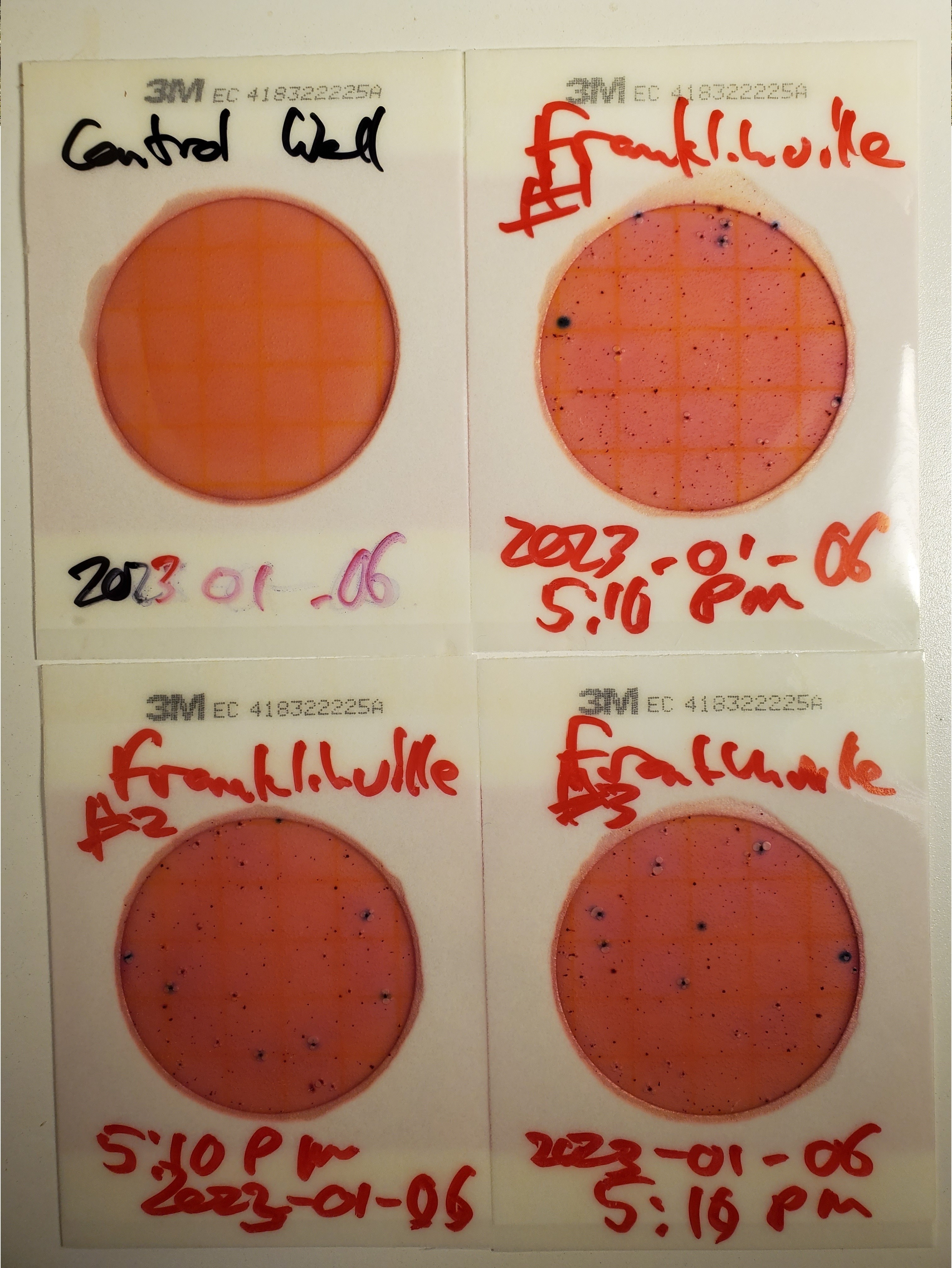 Plates, Franklinville Landing, Withlacoochee River, 17:41:03, 31.0127099, -83.2698886