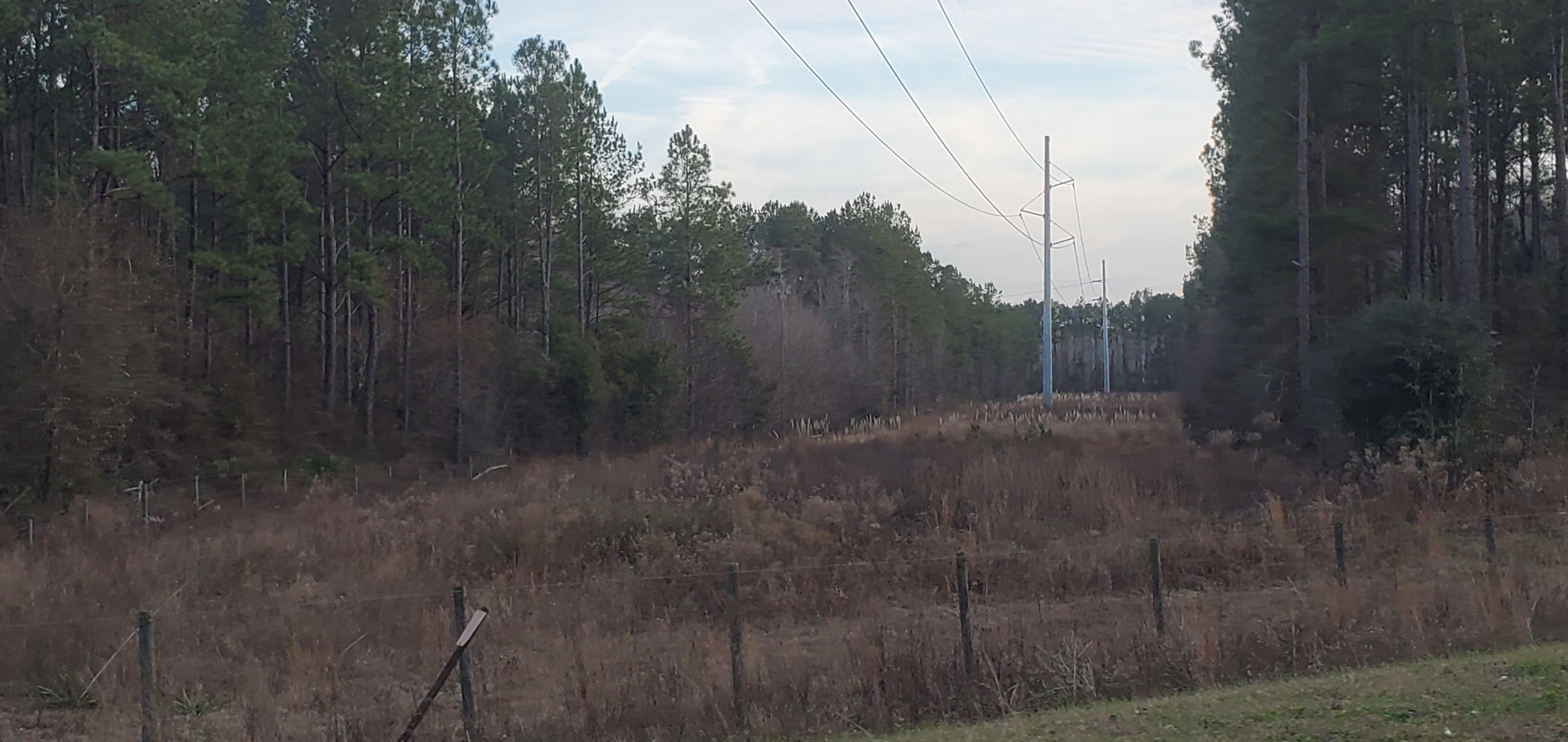 Power line looking south, 17:22:32, 30.9595400, -83.4556230