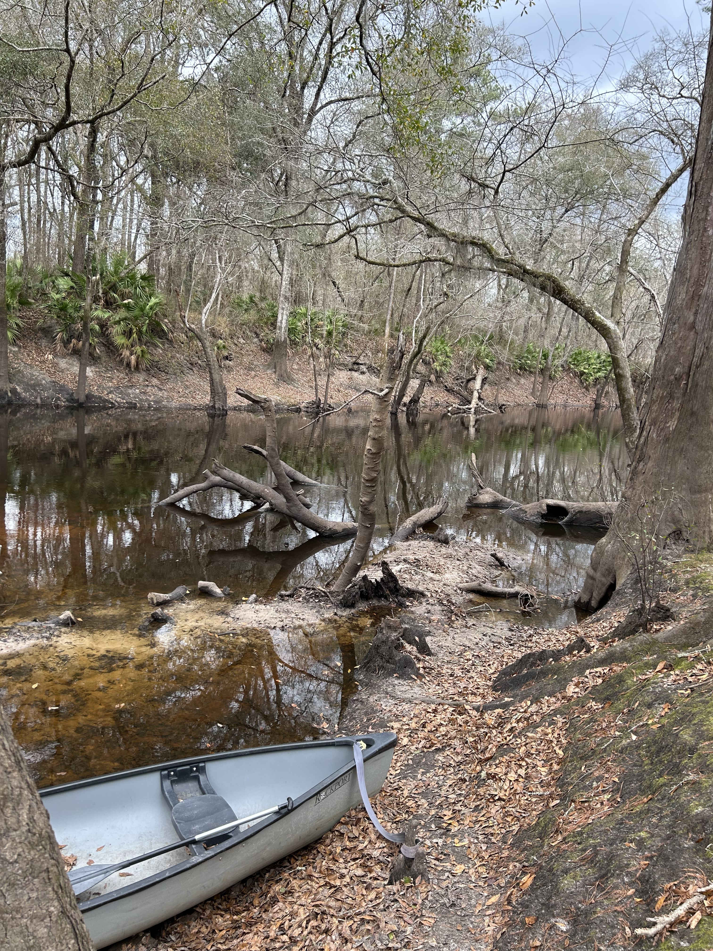 Staten Road, Withlacoochee River @ Staten Road 2023-01-19