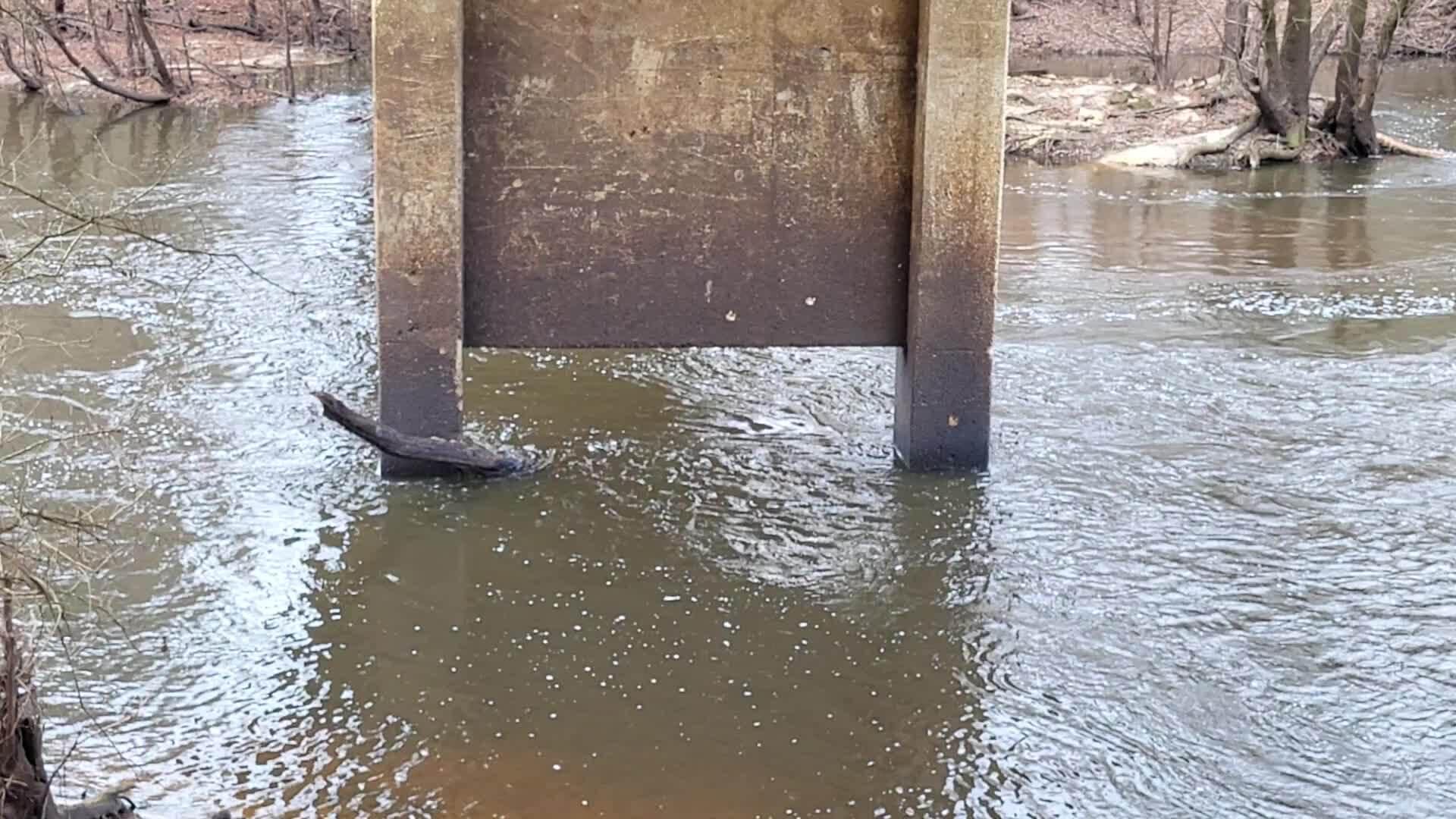 Movie: Nankin Boat Ramp, Water Level and Flow, Withlacoochee River @ Clyattville-Nankin Road 2023-01-19