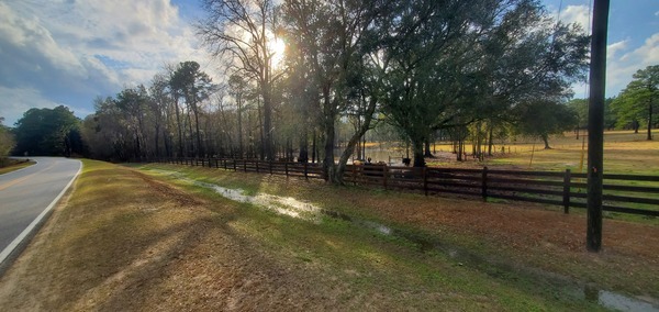 Cows, pond, ditch to Hutchinson Mill Creek, 16:17:45, 31.0238748, -83.3078985