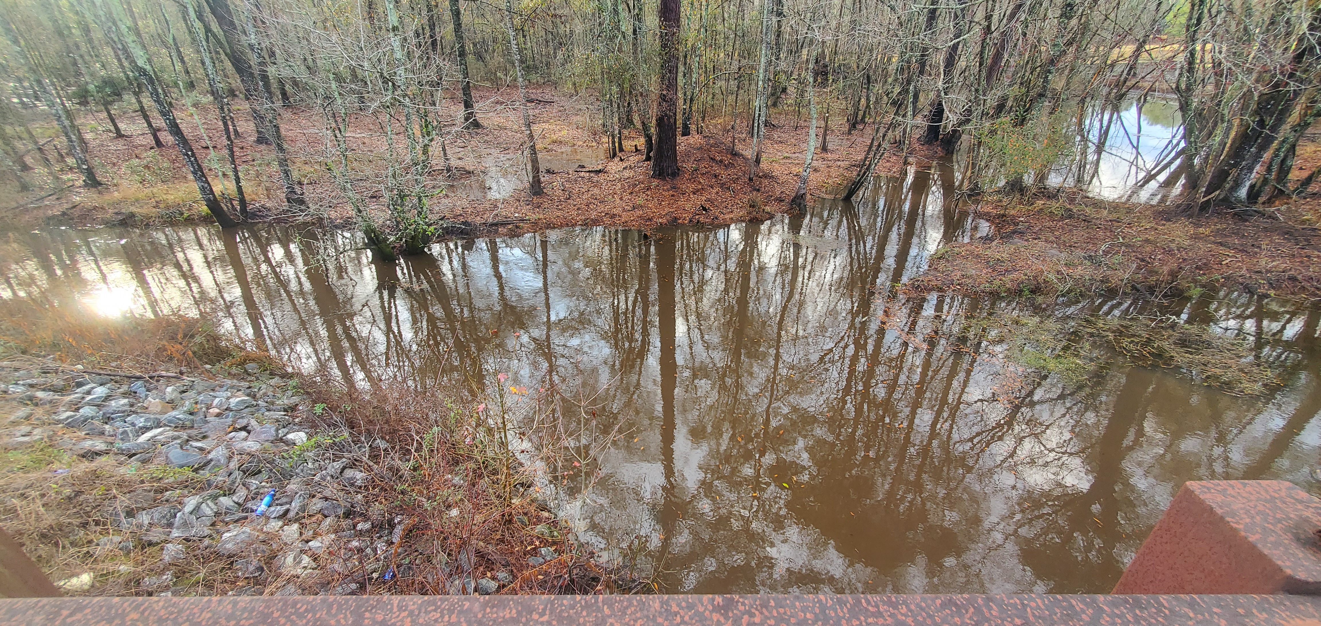 Pond outfall into Hutchinson Mill Creek, 16:20:06, 31.0227117, -83.3084498