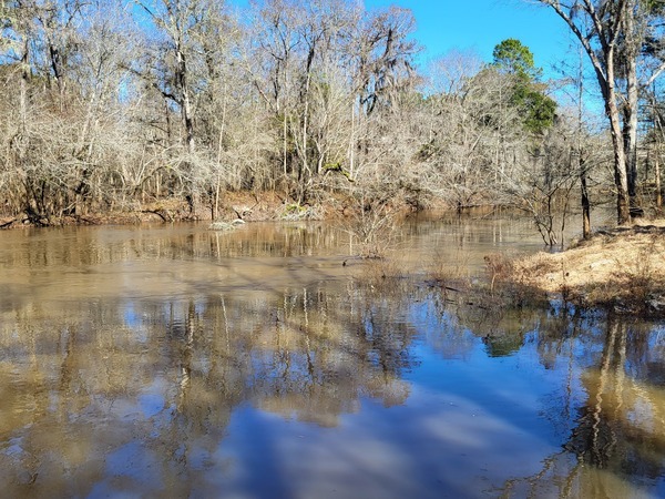 Troupville Boat Ramp Water Level, Little River @ GA 133 2023-01-26