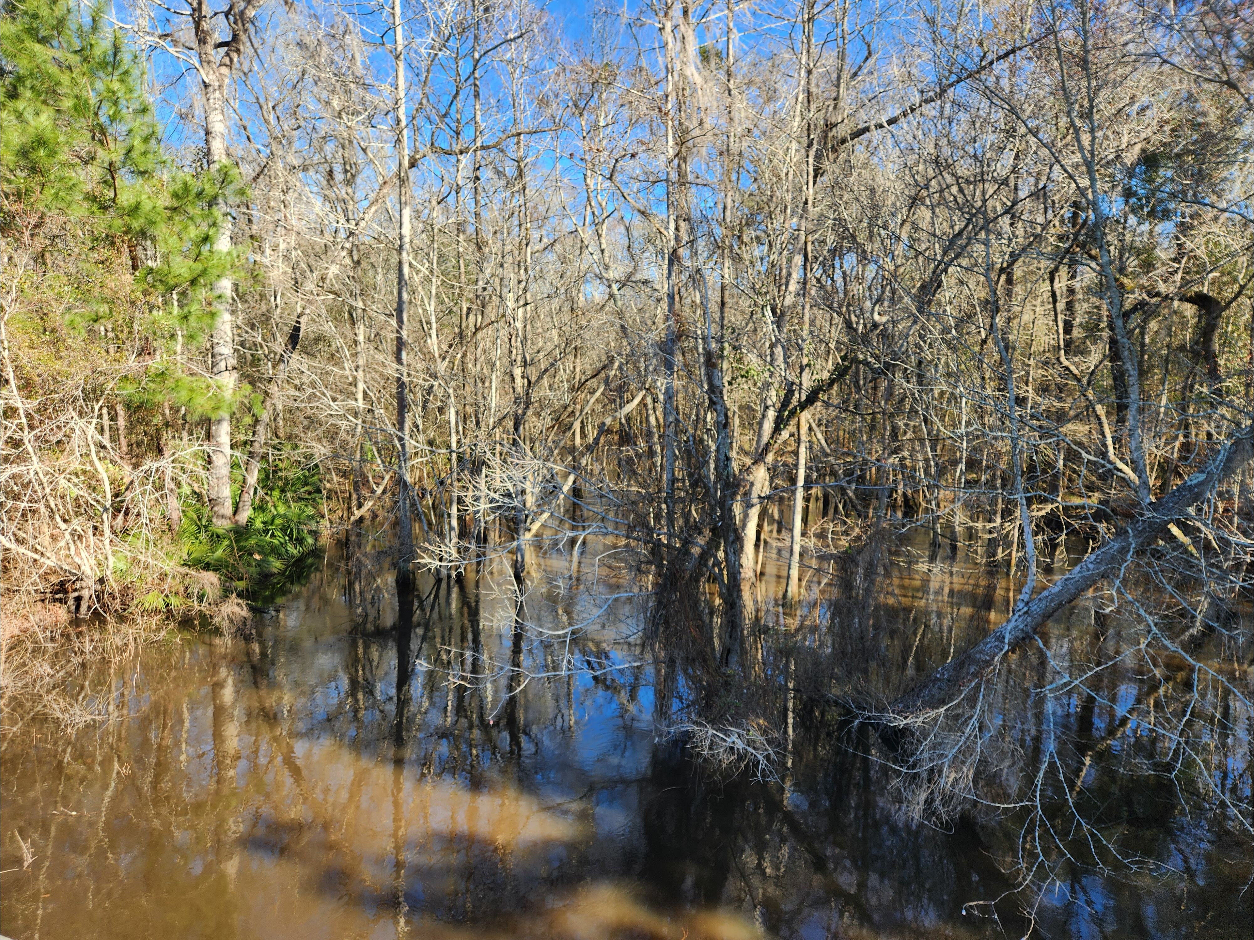 Cat Creek @ Cat Creek Road, Cat Creek @ Cat Creek Road 2023-01-26