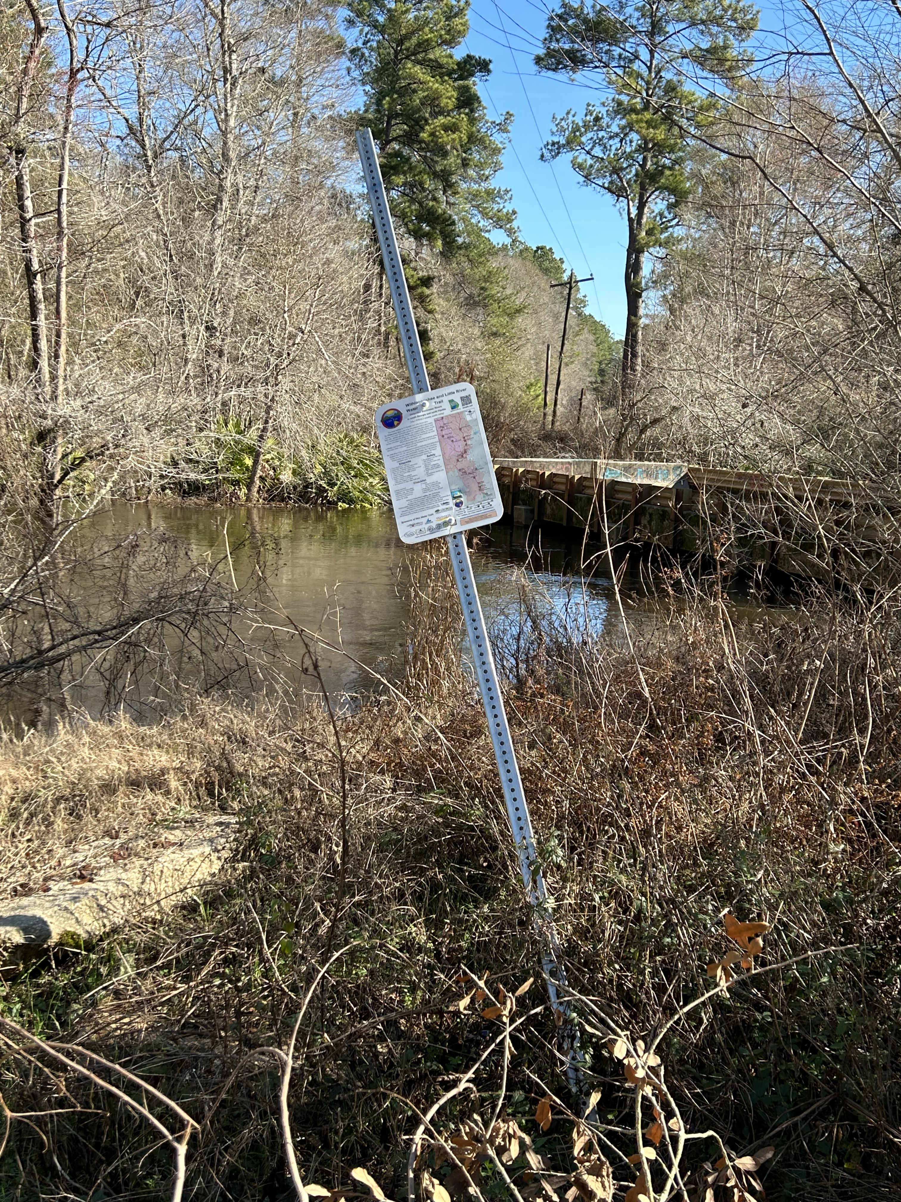 Franklinville, Withlacoochee River, 2023-01-26