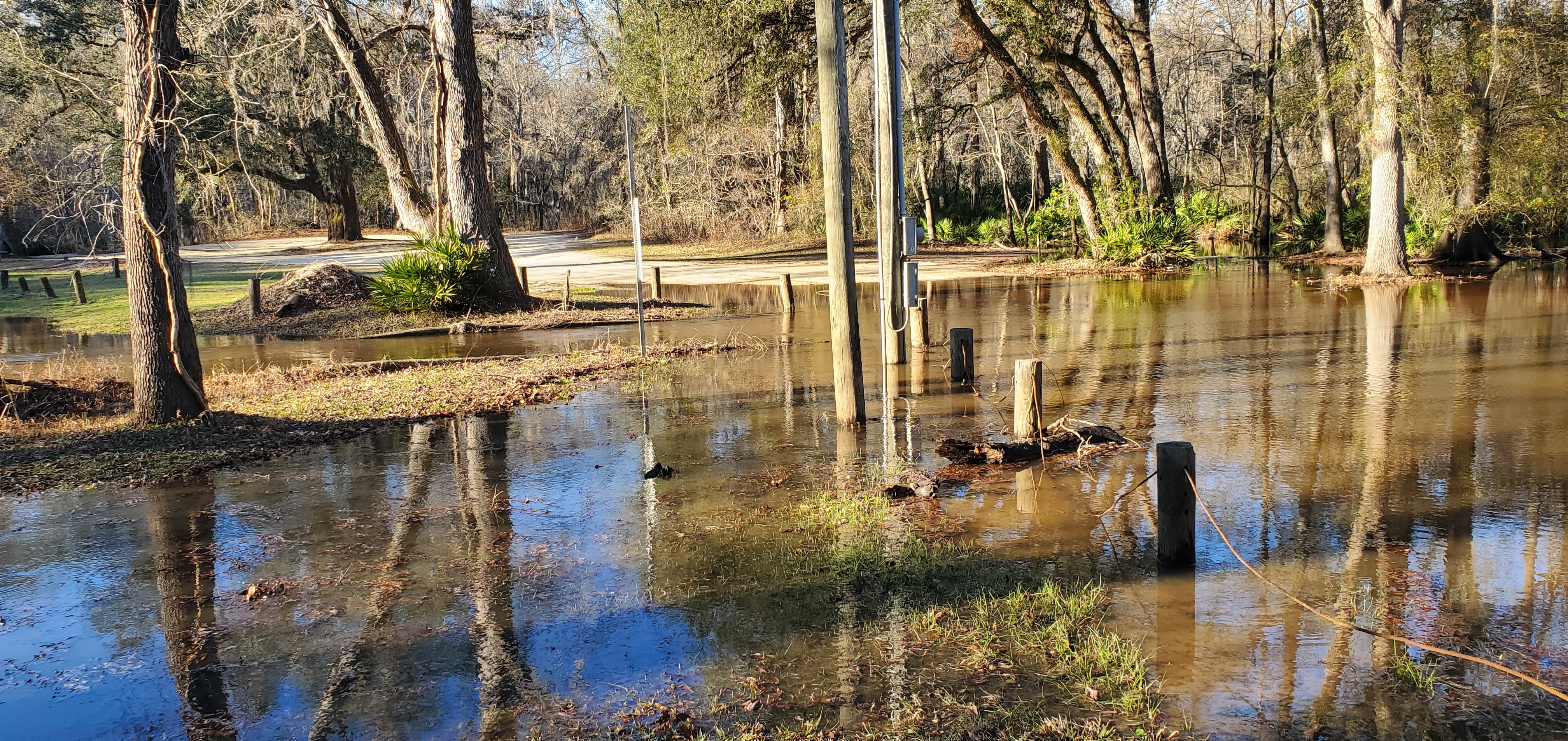 Langdale Park Boat Ramp, Downflow, Withlacoochee River, 2023-01-26, 16:31:37, 30.8873447, -83.3235757