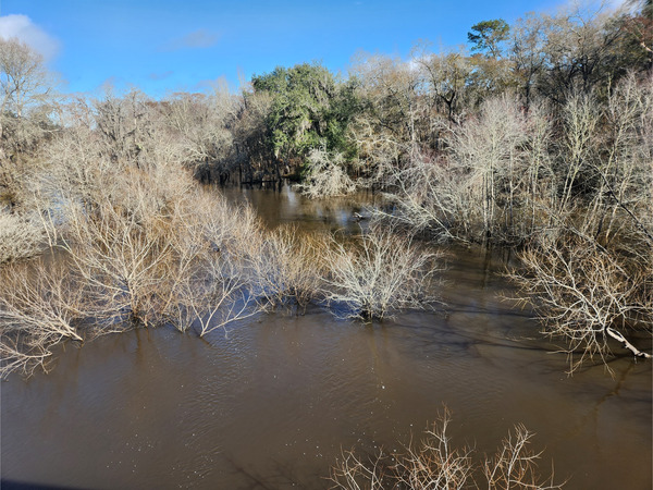 Upstream, Folsom Bridge, Little River