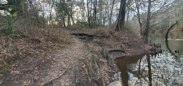 Uphill from Ellaville Landing, Withlacoochee River, 2023-02-02