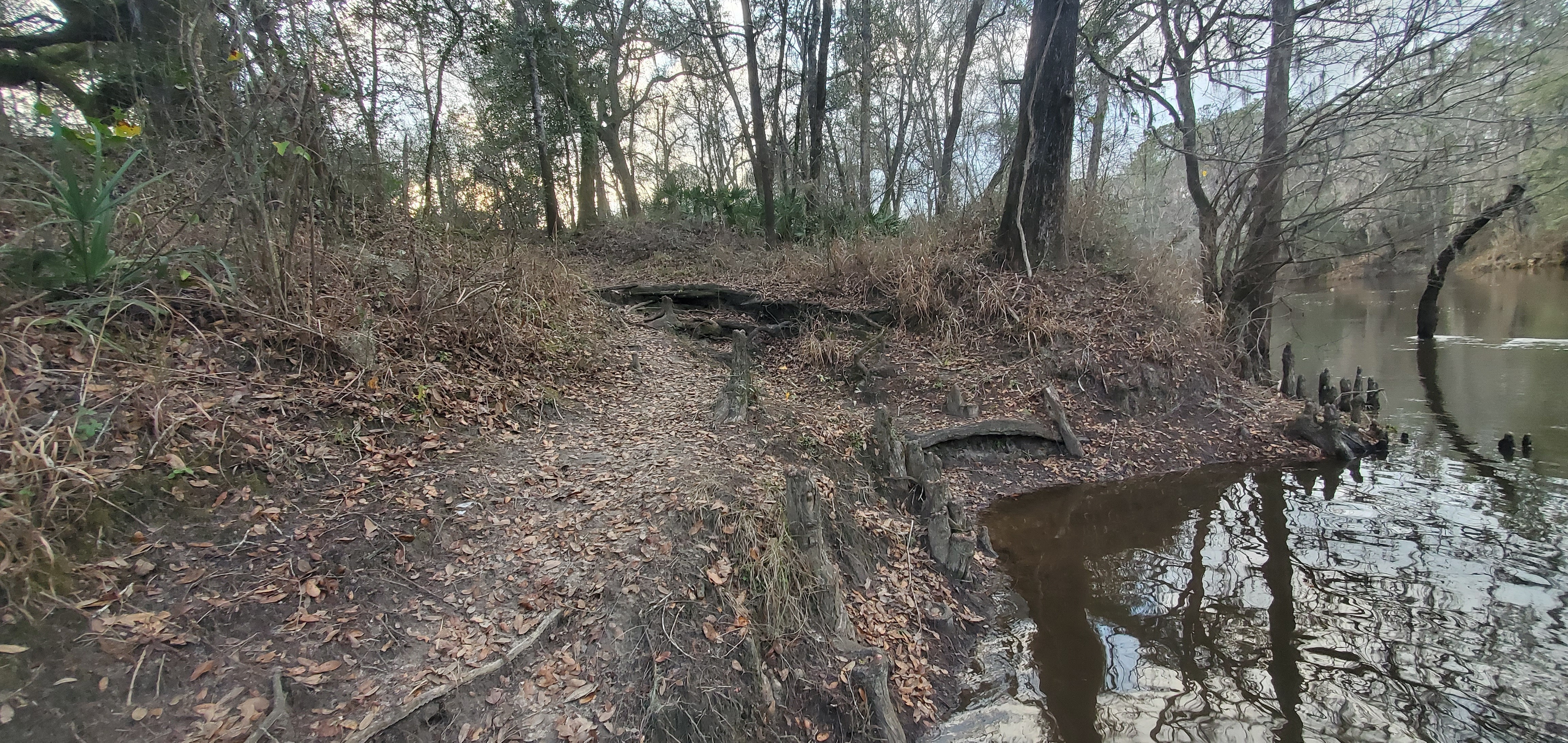 Uphill from Ellaville Landing, Withlacoochee River, 2023-02-02, 17:14:57, 30.4164776, -83.1941142