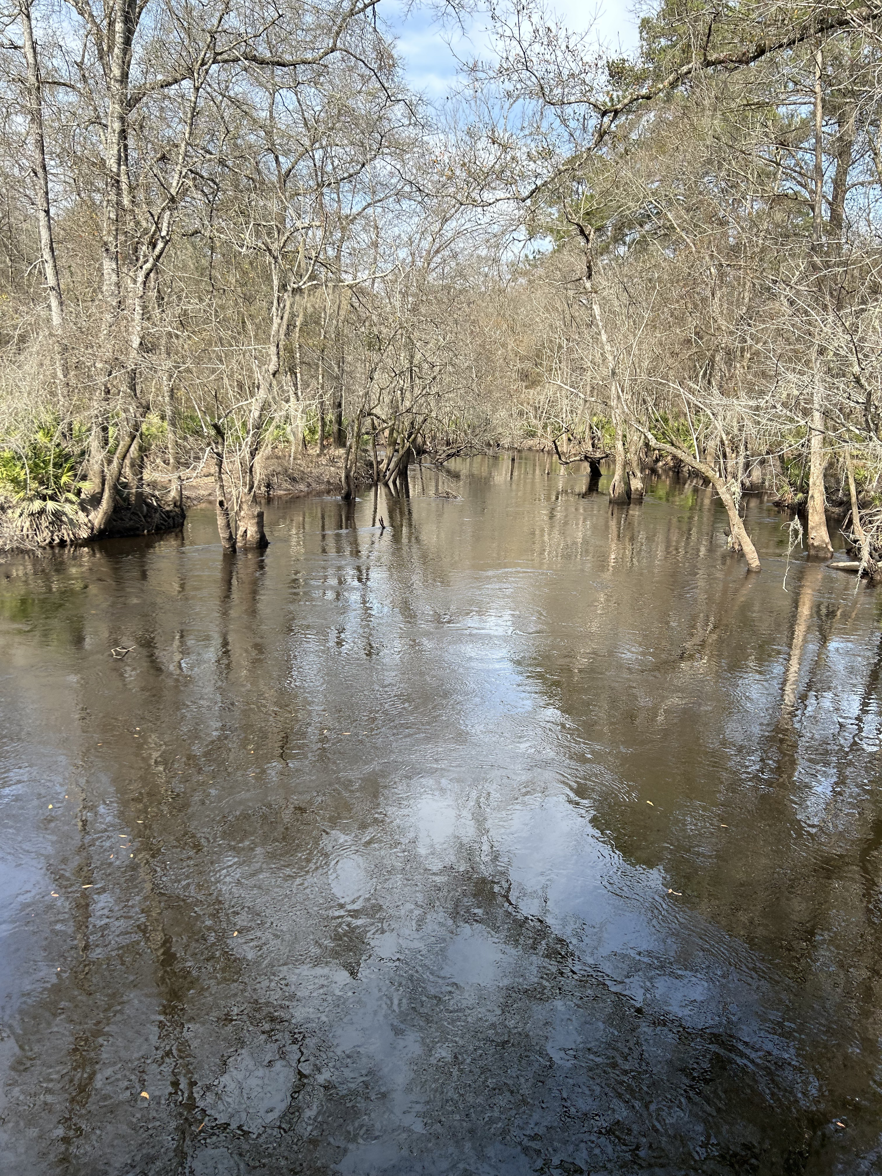 Franklinvvile, Withlacoochee River @ Frankinville Road 2023-02-09