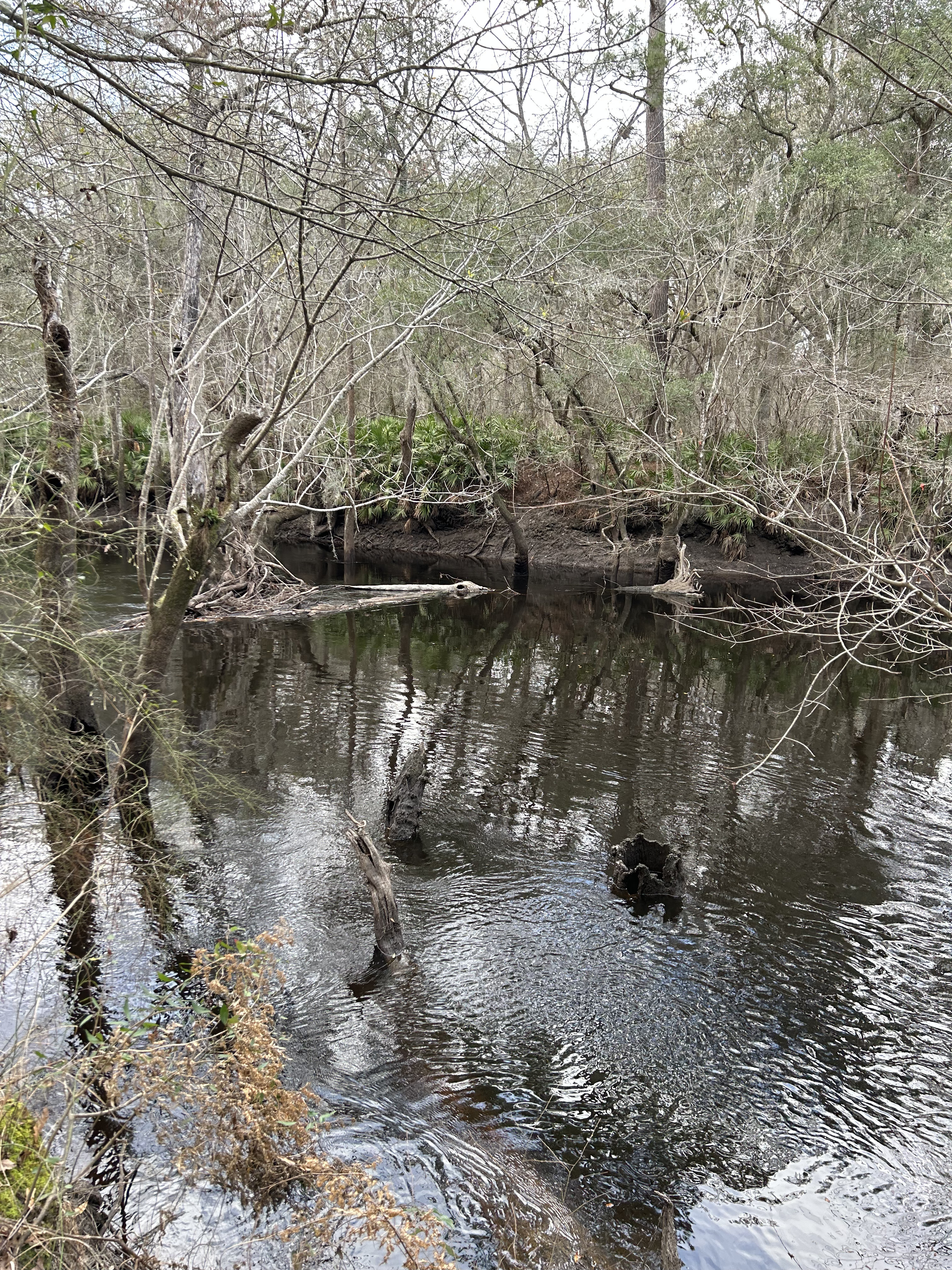 Staten Road, Withlacoochee River @ Staten Road 2023-02-09