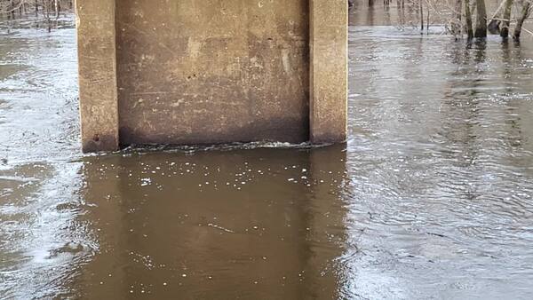 Movie: Flow and Level, Nankin Boat Ramp, Withlacoochee River @ Clyattville-Nankin Road 2023-02-09