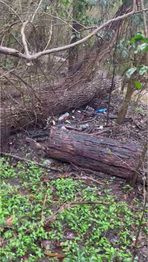 Trash in woods near Two Mile Branch