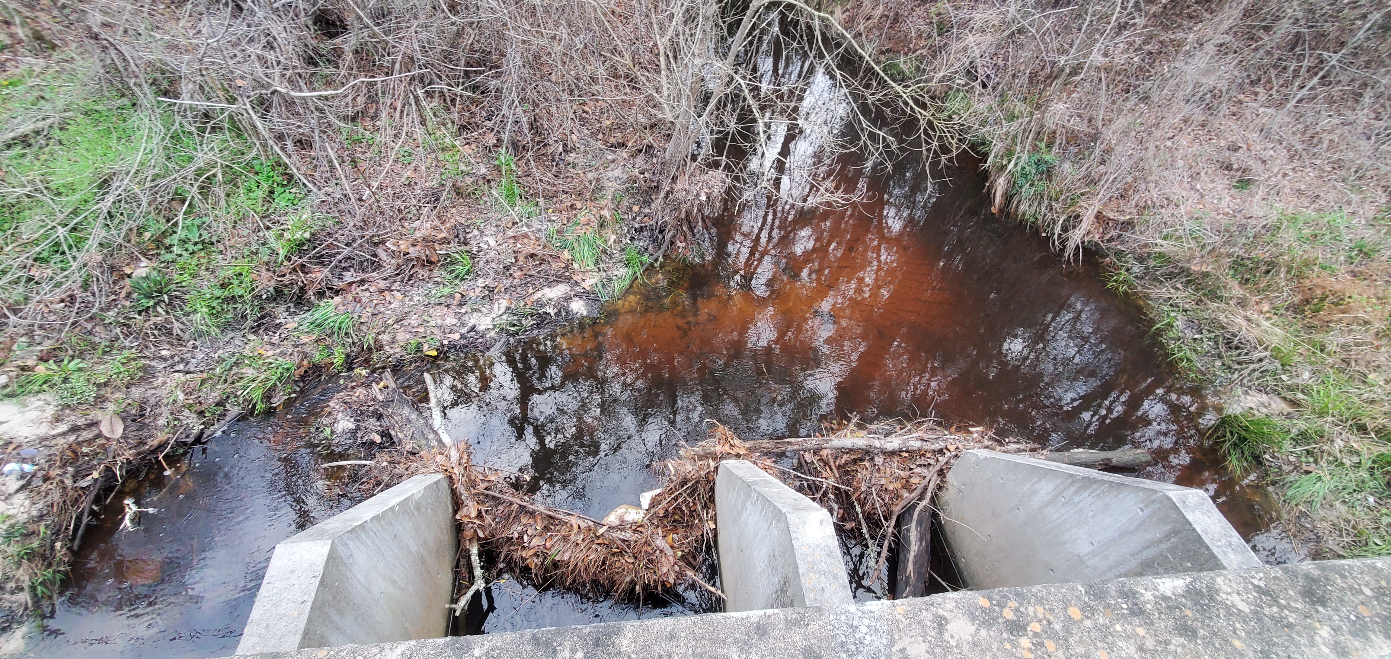 Upstream, Cherry Creek at Lake Laurie Drive, 2023:02:12 17:28:21, 30.8949575, -83.2825453