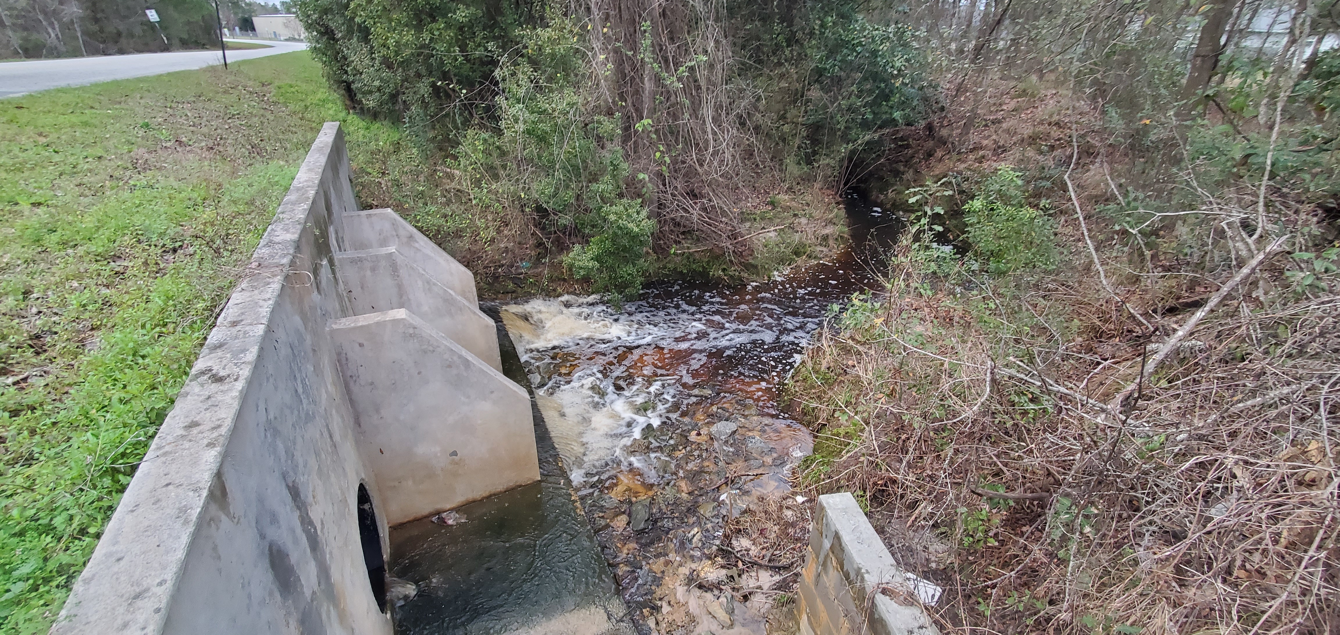 Cherry Creek at Lake Laurie Drive, 2023:02:12 17:27:59, 30.8949575, -83.2825453