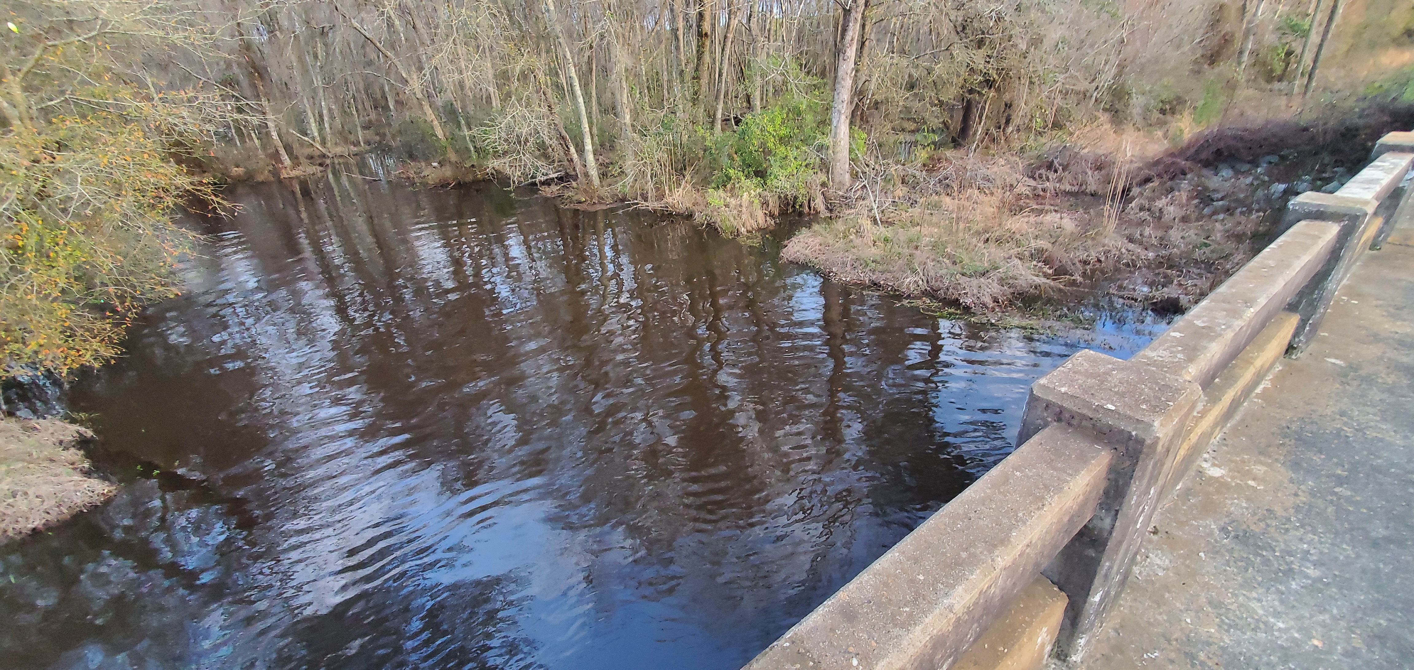 Upstream @ Cherry Creek Road, 2023:02:12 17:53:35, 30.9095848, -83.2913540