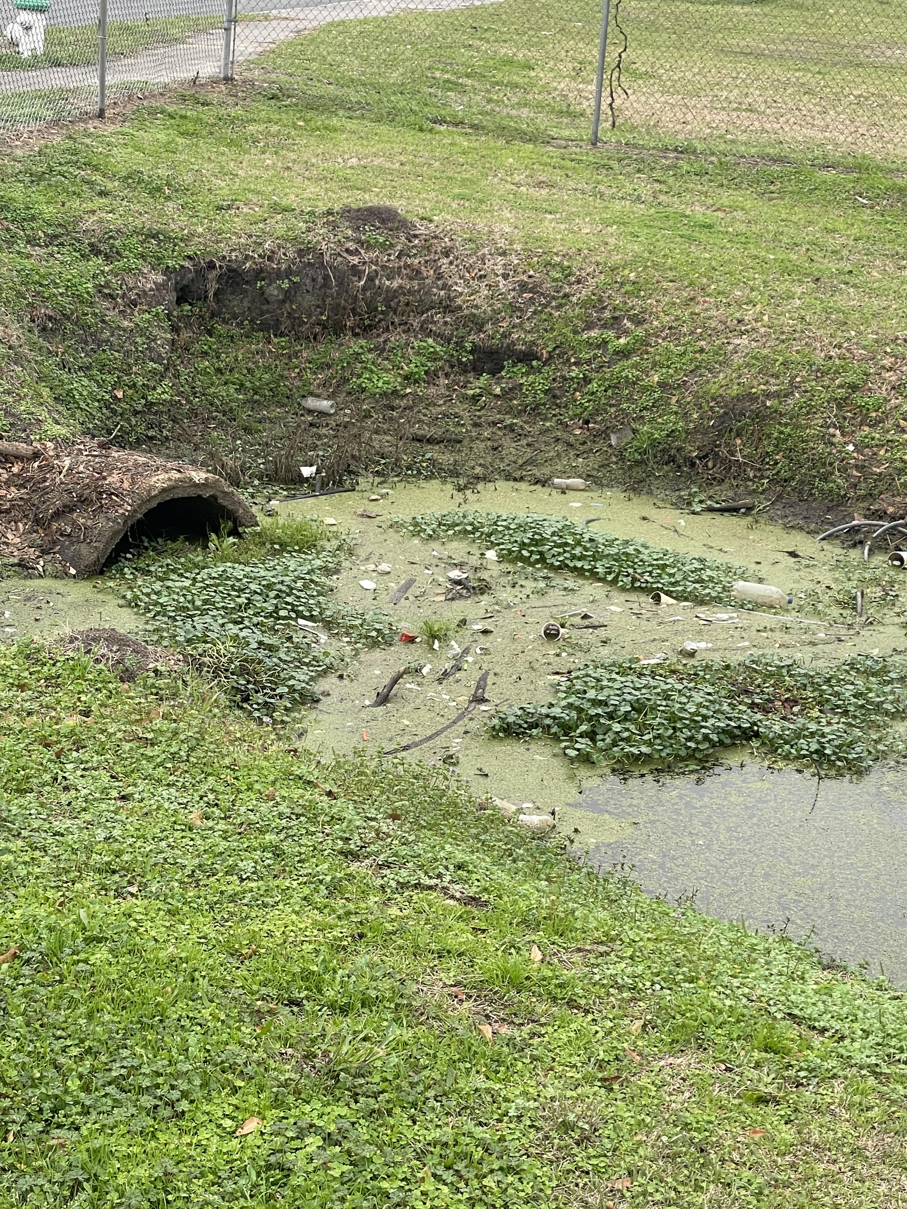 More trash above pipe