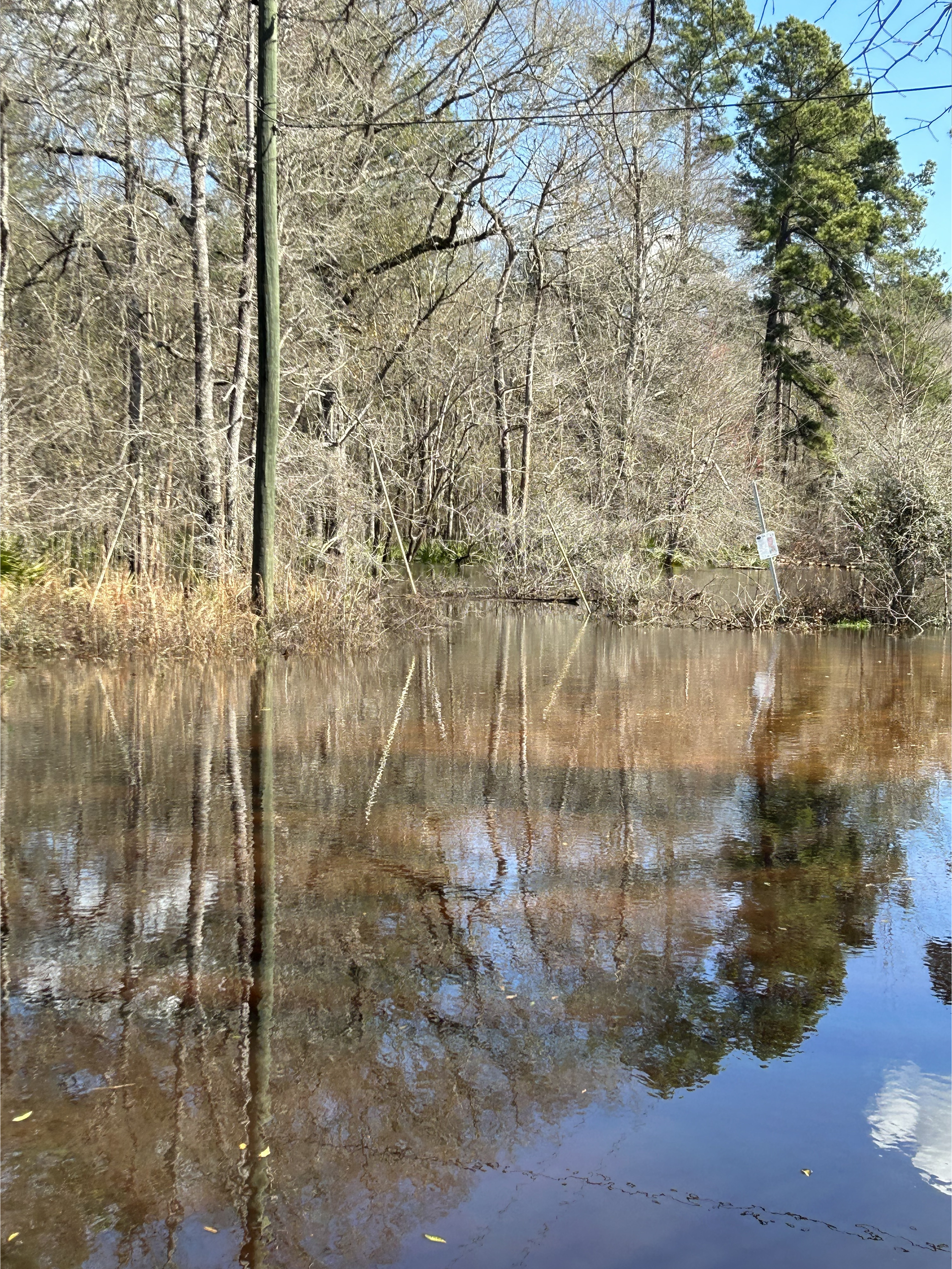 Franklinvvile, Withlacoochee River @ Frankinville Road 2023-02-16