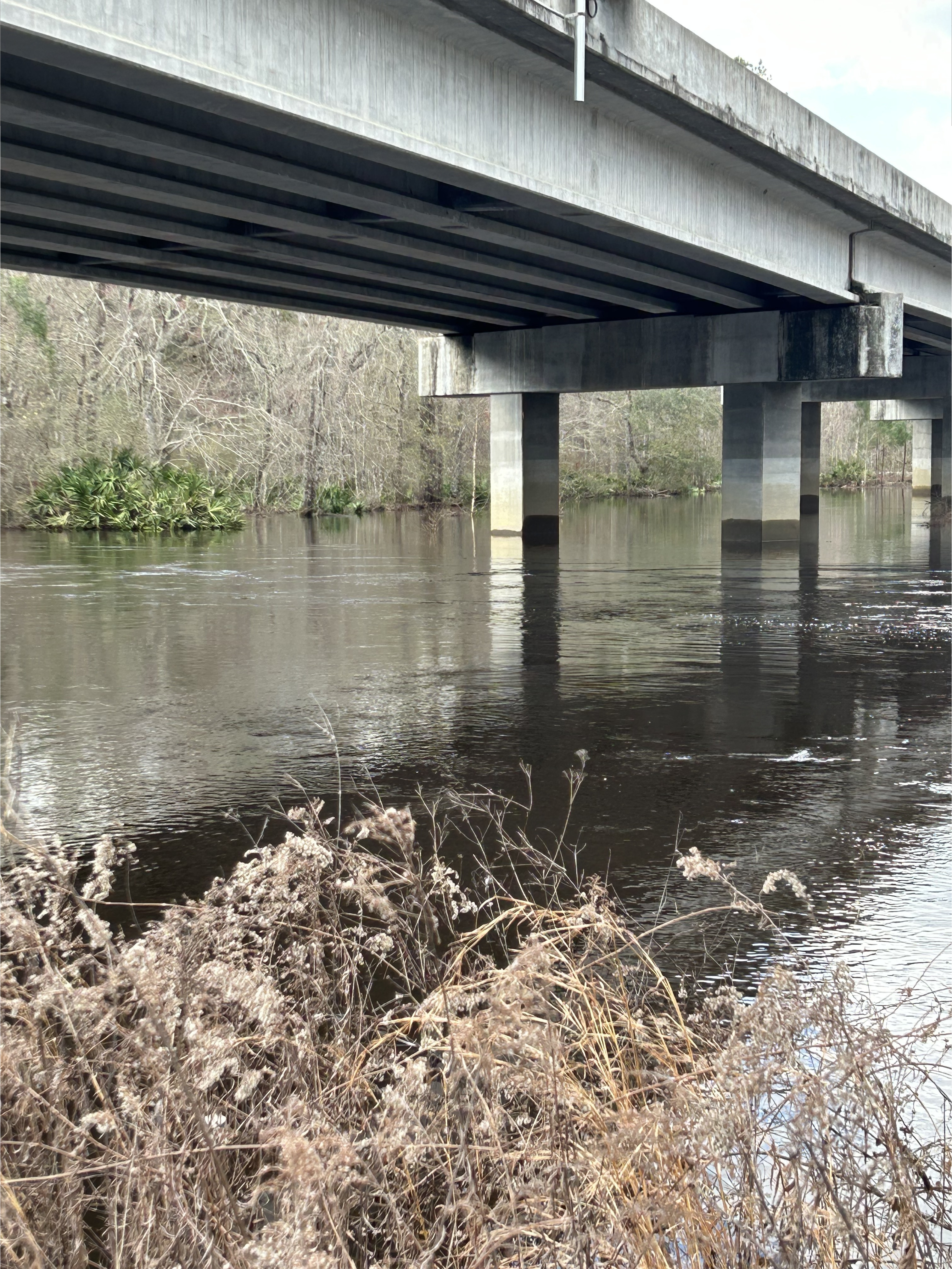 Skipper Bridge, Withlacoochee River @ Skipper Bridge Road 2023-02-16