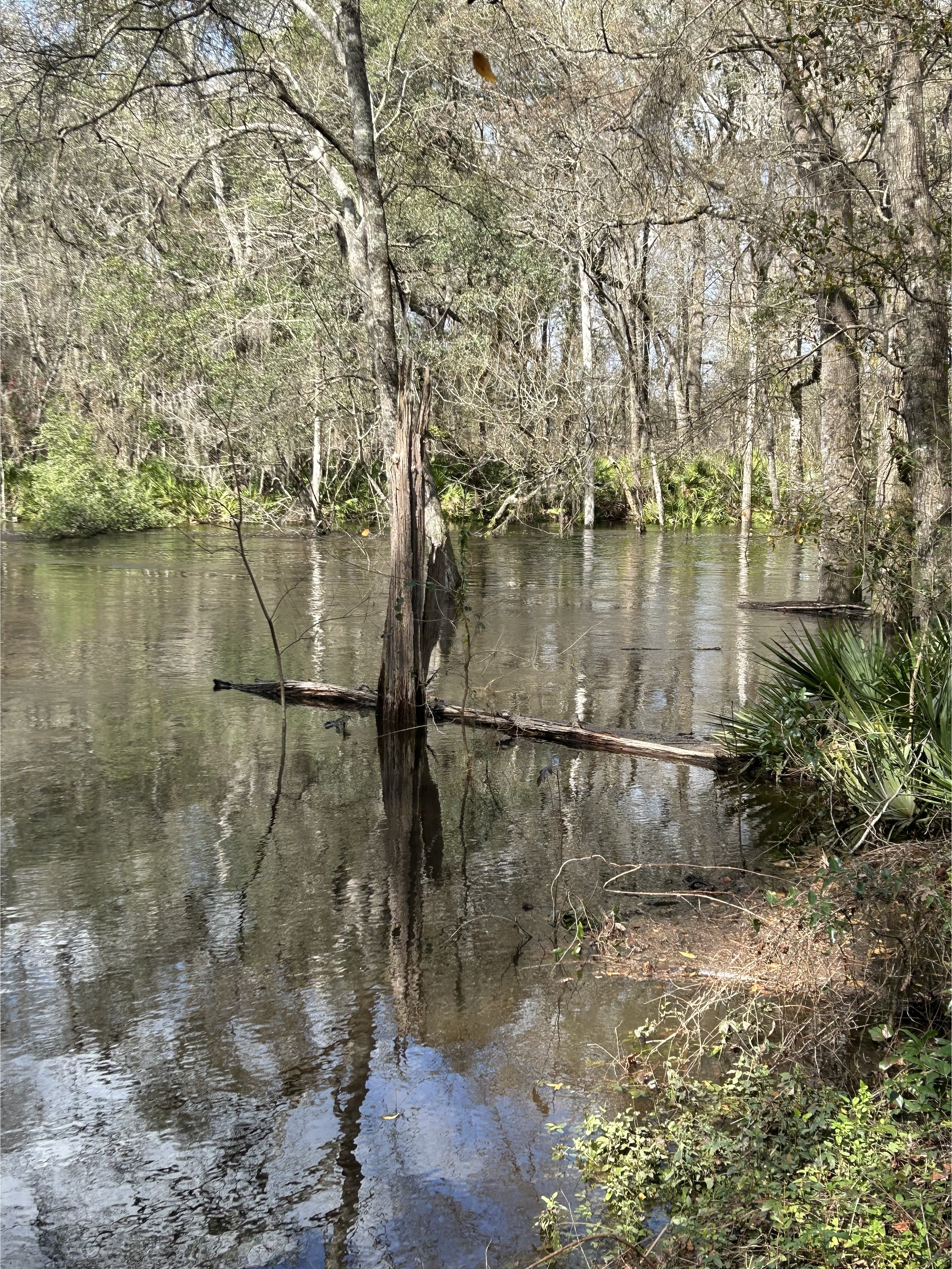 Staten Road, Withlacoochee River @ Staten Road 2023-02-16