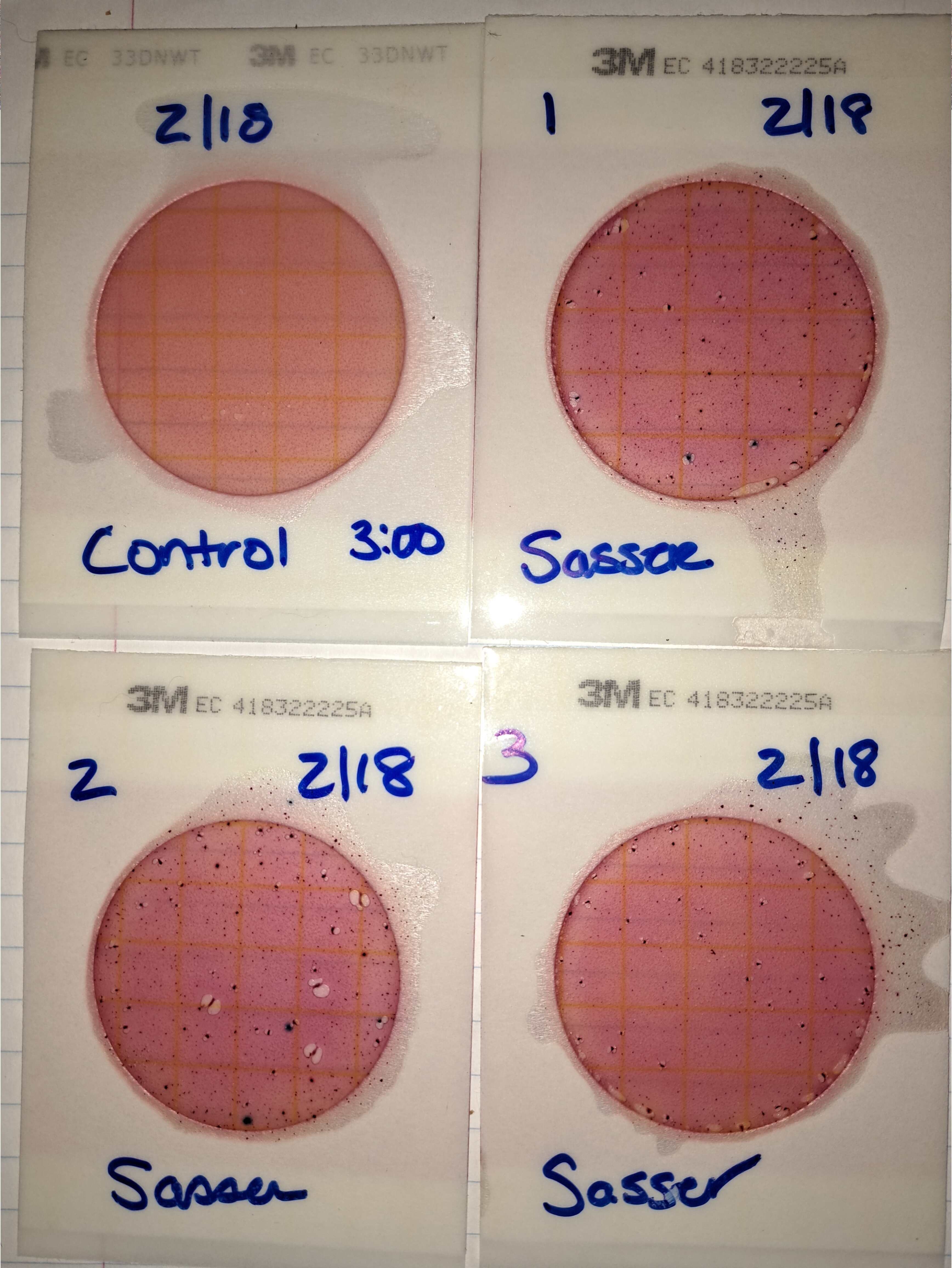 Plates, Sasser Landing, Alapaha River 2023-02-18--sasser-plates-20230219 162624