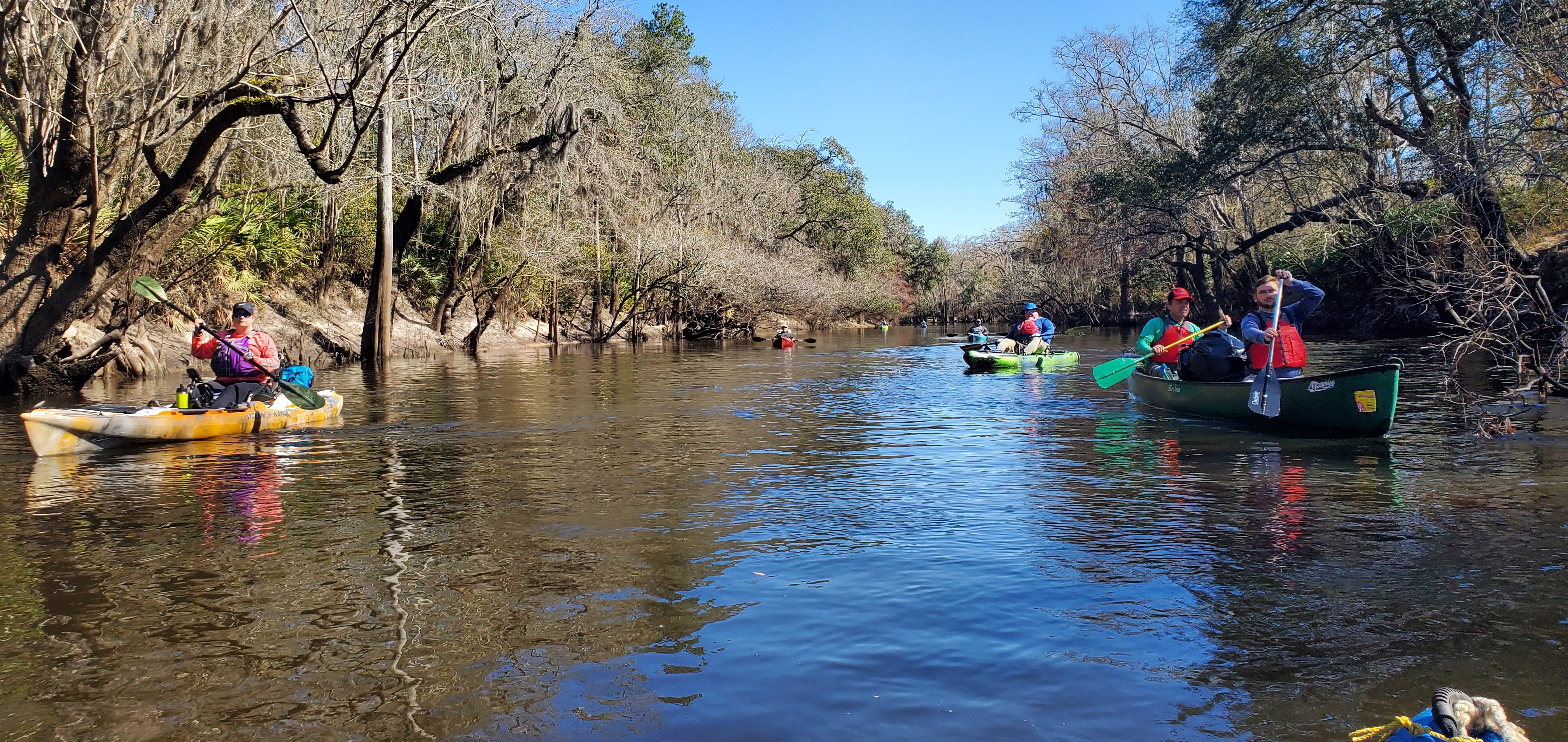 Many paddlers, 2022-02-19 11:03:41, 30.8382891, -83.3570728