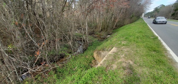 Knights Creek upstream with E. Park Ave., 15:24:00, 30.8611835, -83.2543701