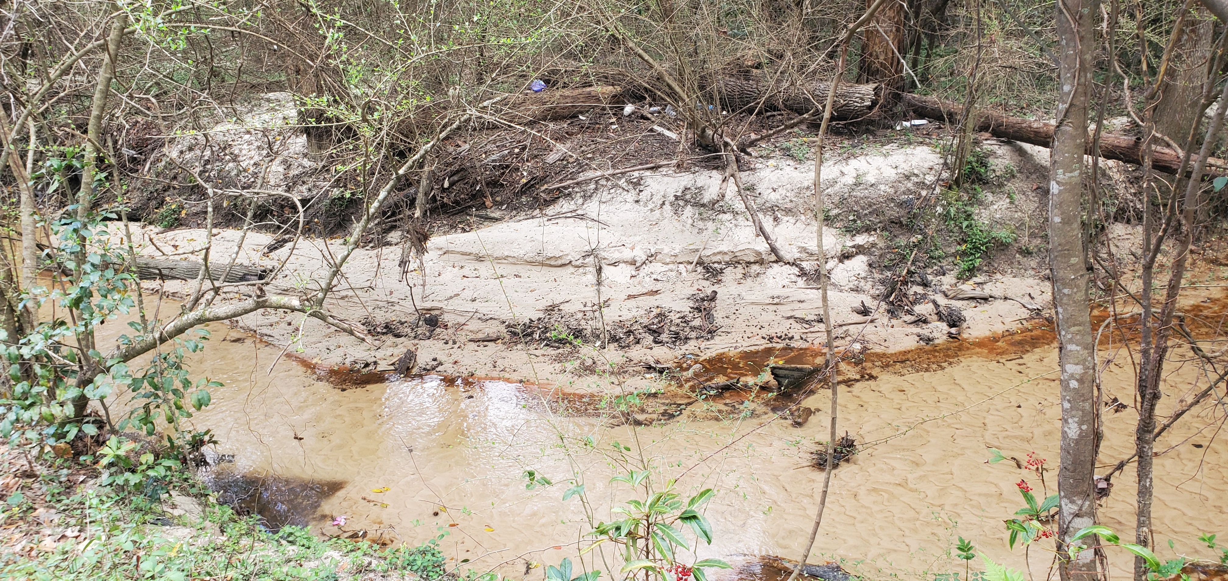 Trash and Two Mile Branch upstream at Berkley Drive, 14:45:38, 30.8626130, -83.3021740