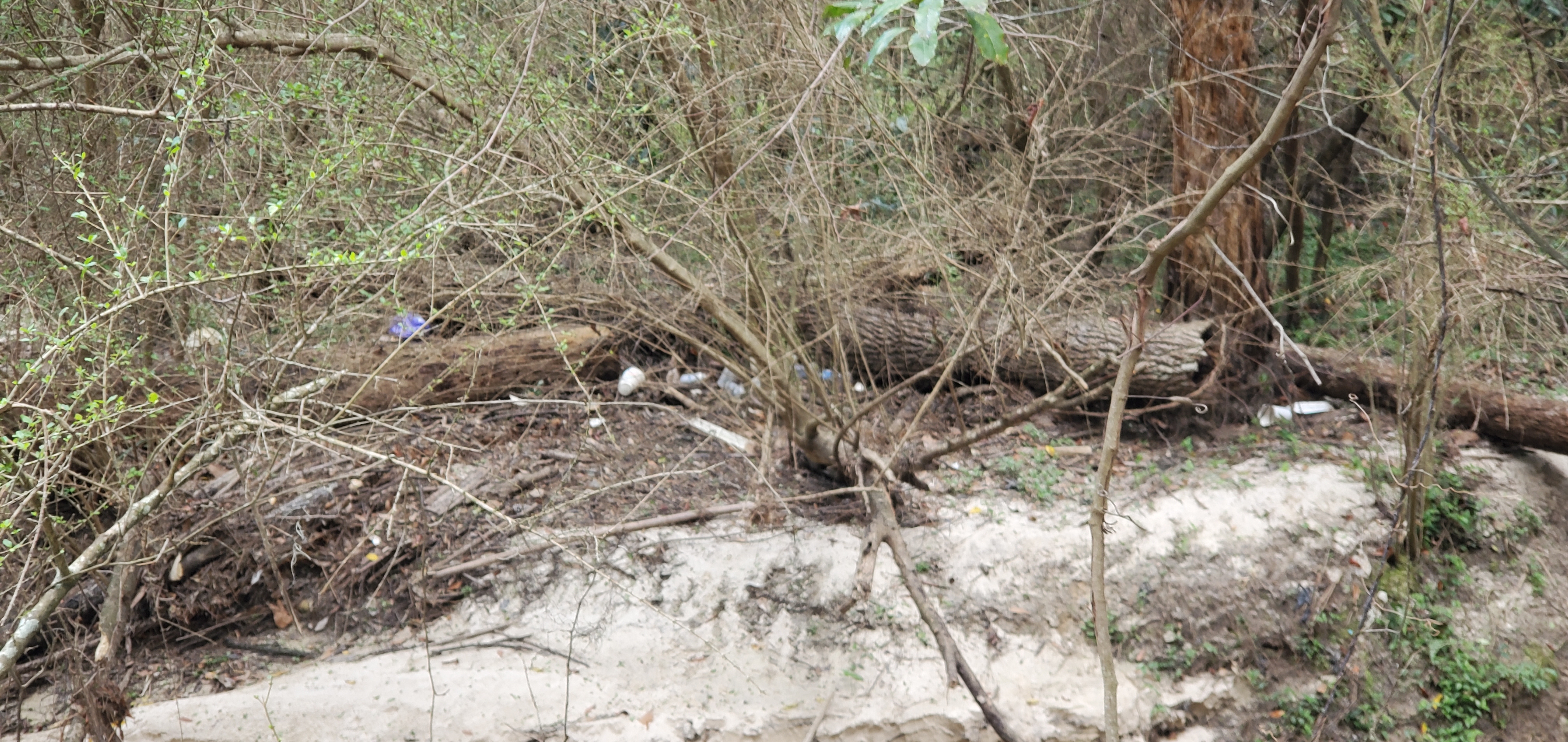 Upstream culvert, Lee Street, 14:45:41, 30.8626130, -83.3021740