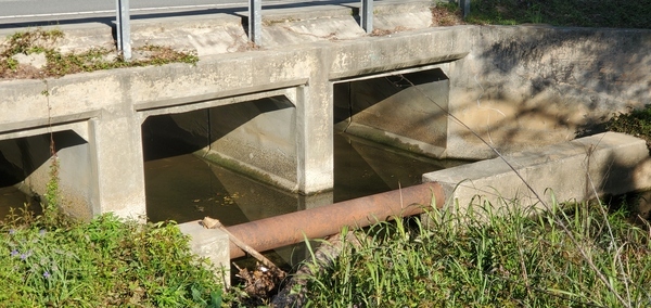 [Oak Street Culvert, Two Mile Branch, 2023:03:24 09:36:40, 30.8634340, -83.2919830]