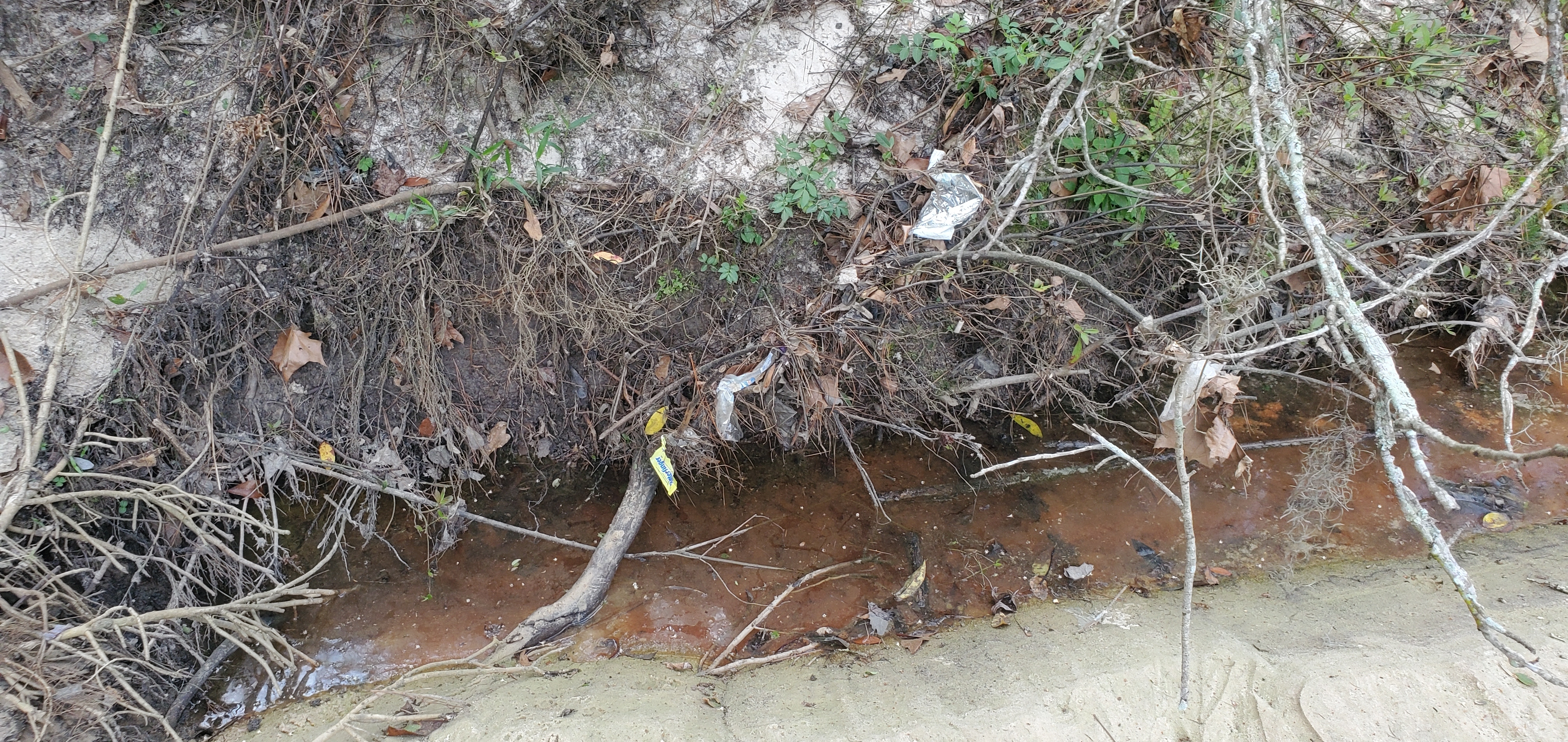 Upstream trash, Two Mile Branch, Berkley Drive, 14:47:45, 30.8633420, -83.3020360