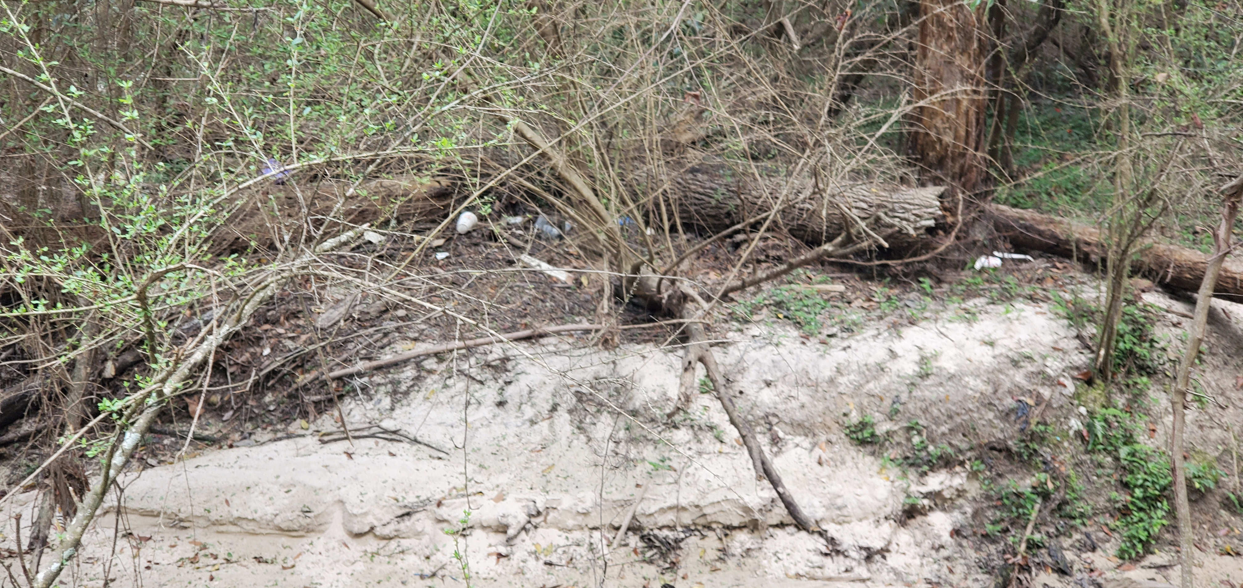 Trash in woods, Two Mile Branch upstream, Berkley Drive, , 14:49:35, 30.8631440, -83.3018070