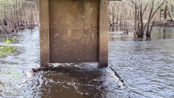 Movie: Nankin Boat Ramp Water Level, Withlacoochee River @ Clyattville-Nankin Road 2023-03-02