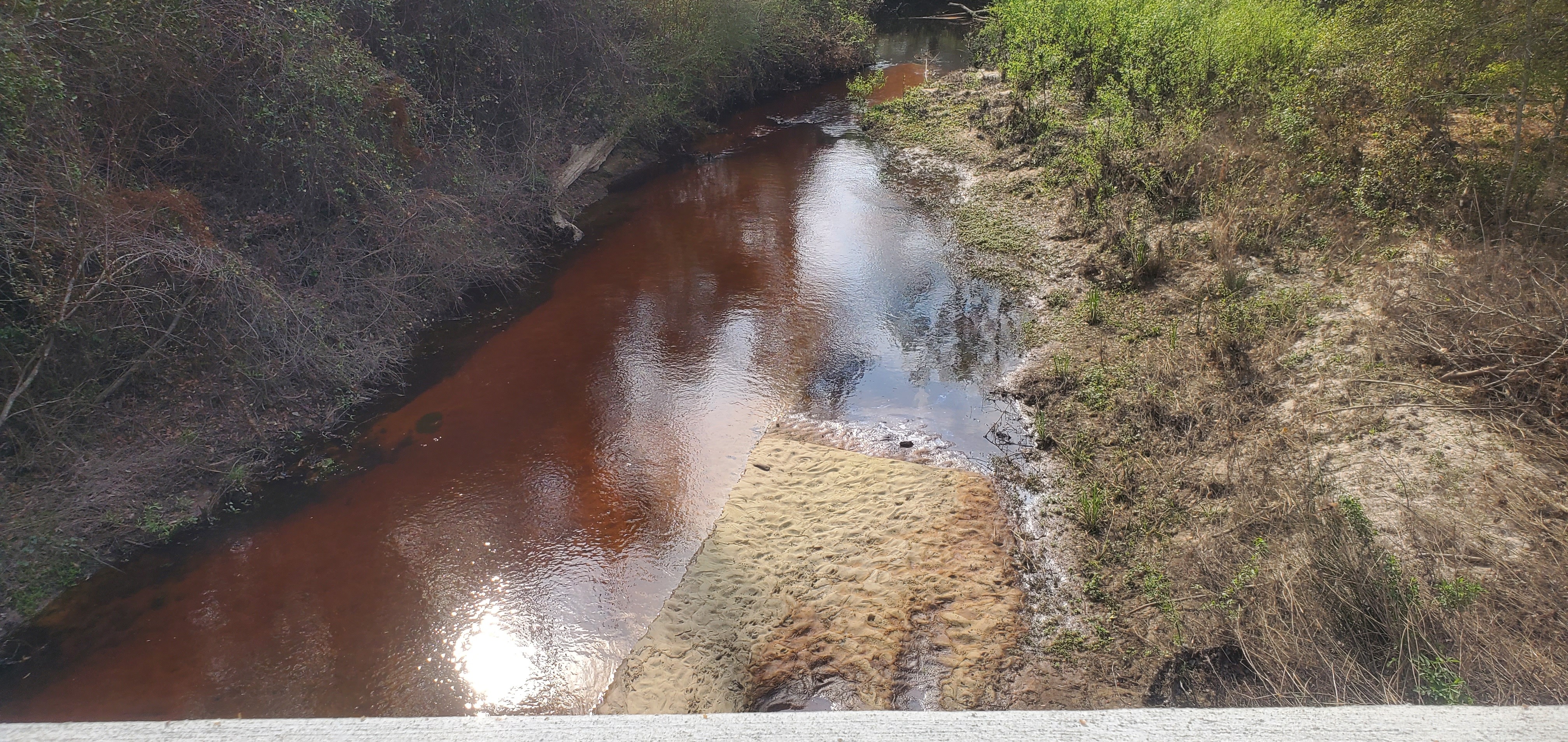 Upstream, Millrace Creek, 10:01:45, 30.8469192, -83.4395957