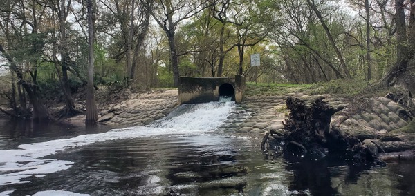 [Valdosta WWTP clean outfall, 10:50:40, 30.8361045, -83.3595411]