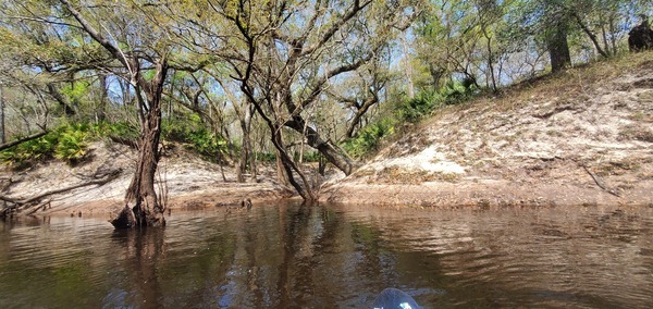 Context, Langdale Partition Creek, 12:27:44, 30.8295067, -83.4096246