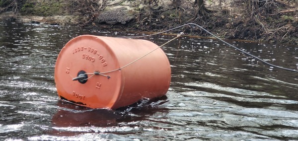 [Quitman (US 84) Gauge buoy, 14:36:55, 30.7936501, -83.4535022]