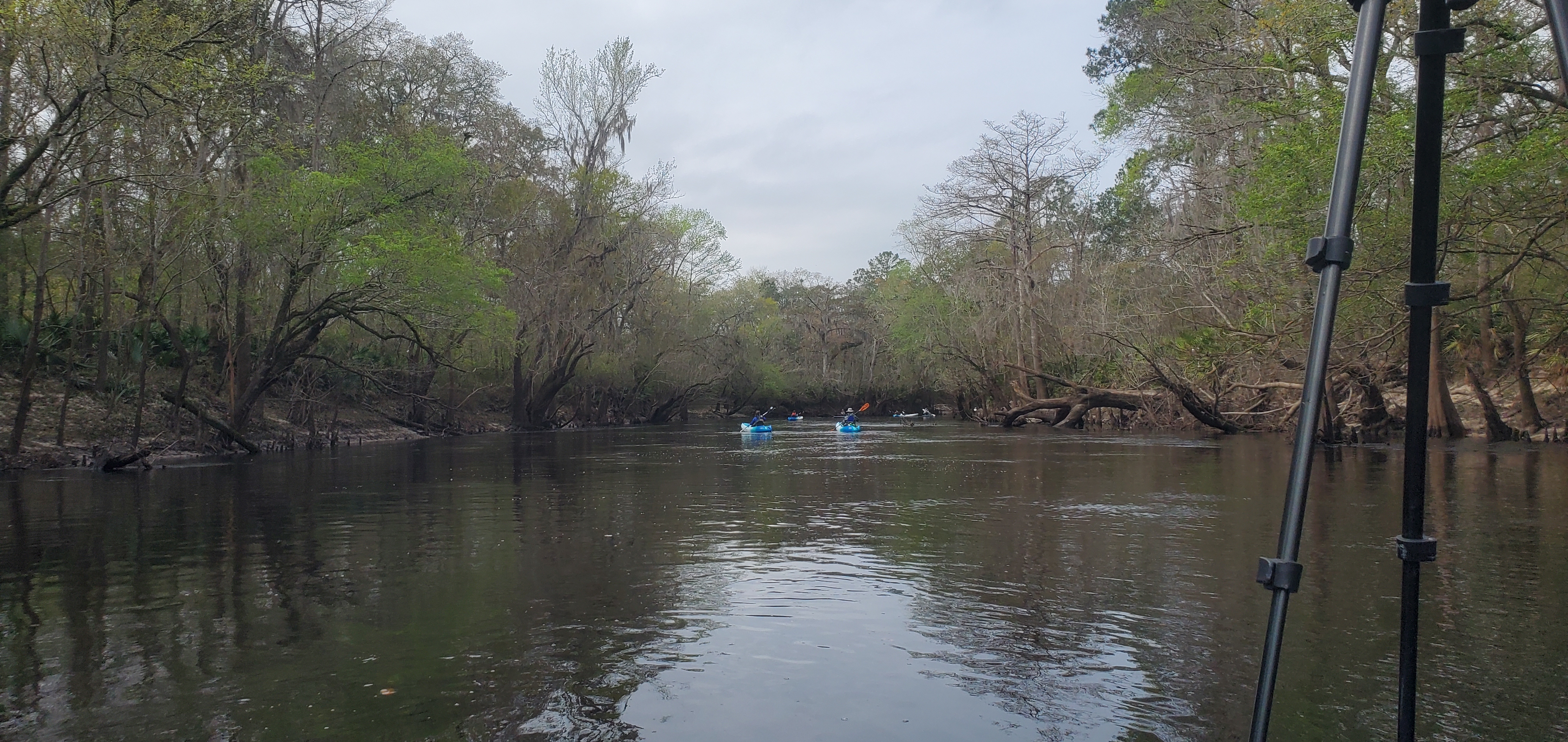 Downstream Withlacoochee River from Little River Confluence, 10:25:39, 30.8468020, -83.3479170